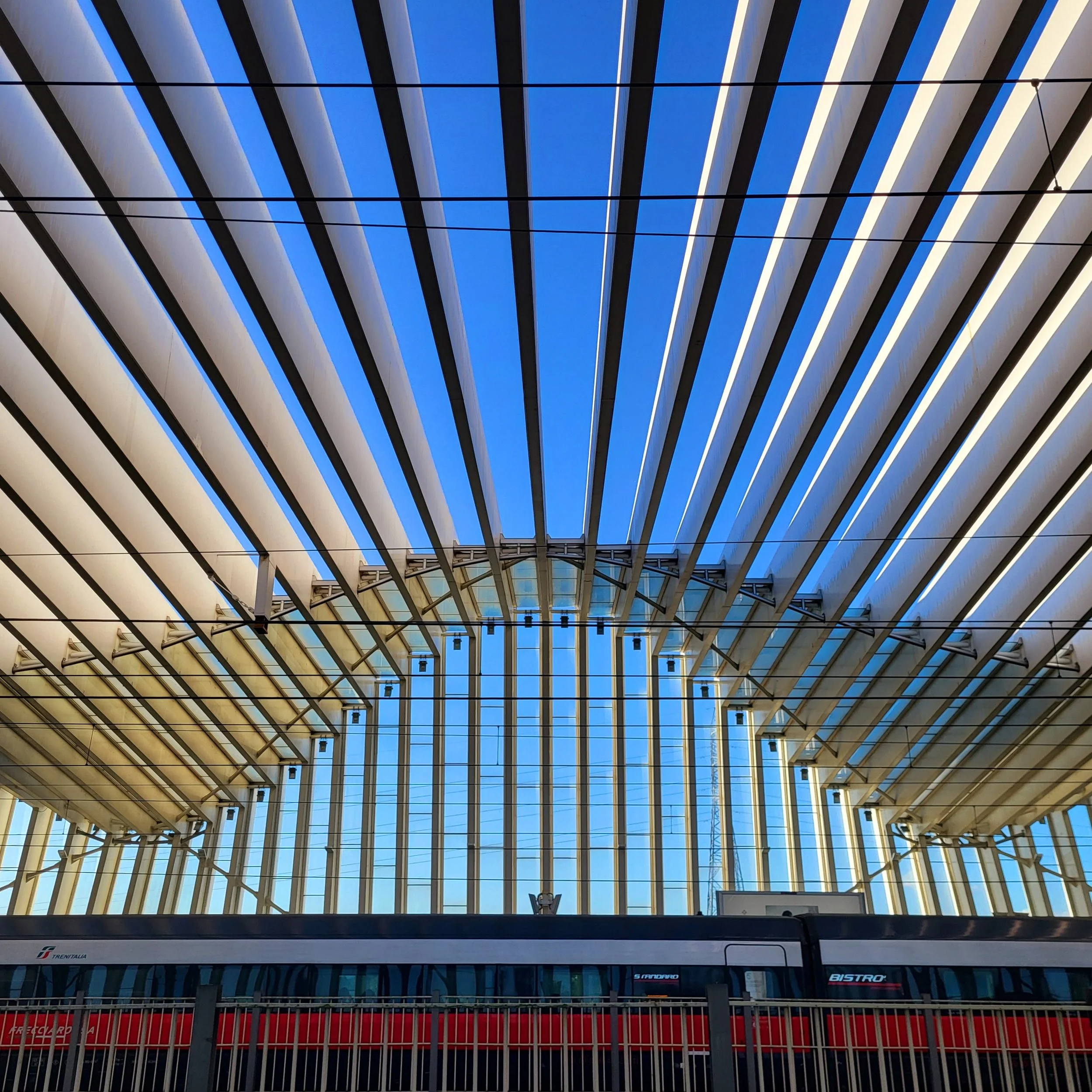 20231107_090758 1.jpg