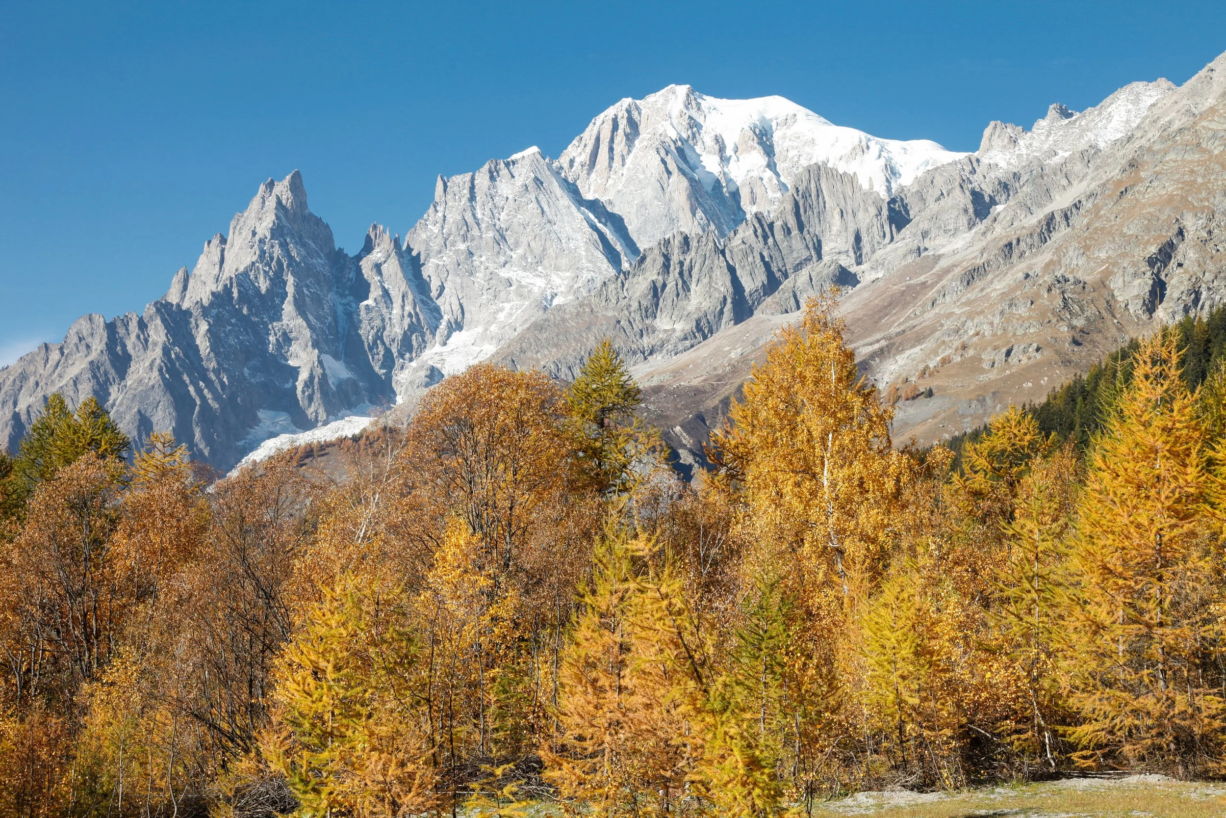 VALLE D'AOSTA-Foliage e Monte Bianco (foto Enrico Romanzi)-4169.jpg