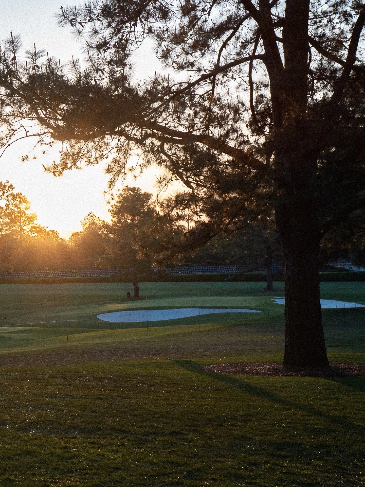 One year ago - some favorite shots I took from last year&rsquo;s practice round at @themasters 📸 One of those days you&rsquo;ll never forget!  Grateful for @jamesdonovan16 locking down the tickets 🔐
.
.
.
#themasters #mastersweek #golf