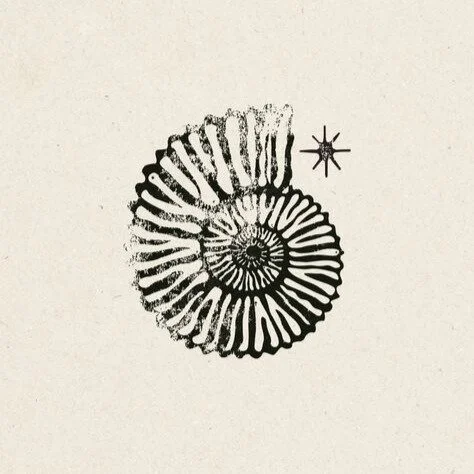 deepening my relationship to astrology