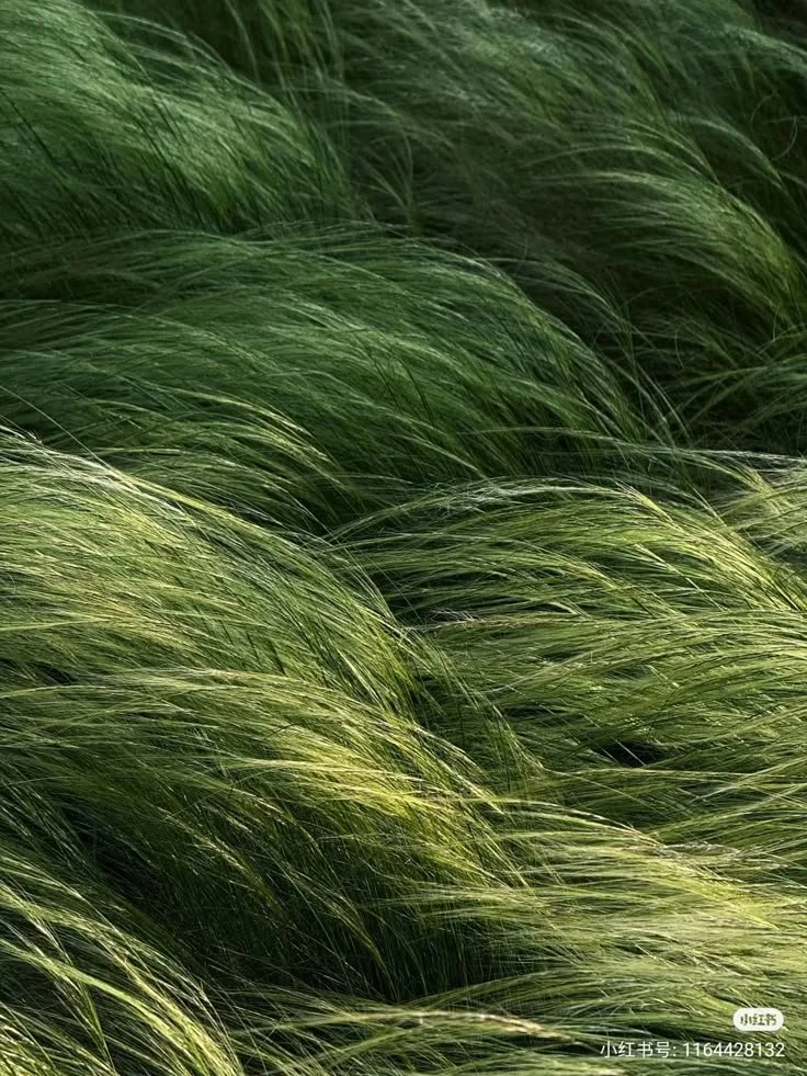 Poros Birth Chart Readings Sacramento