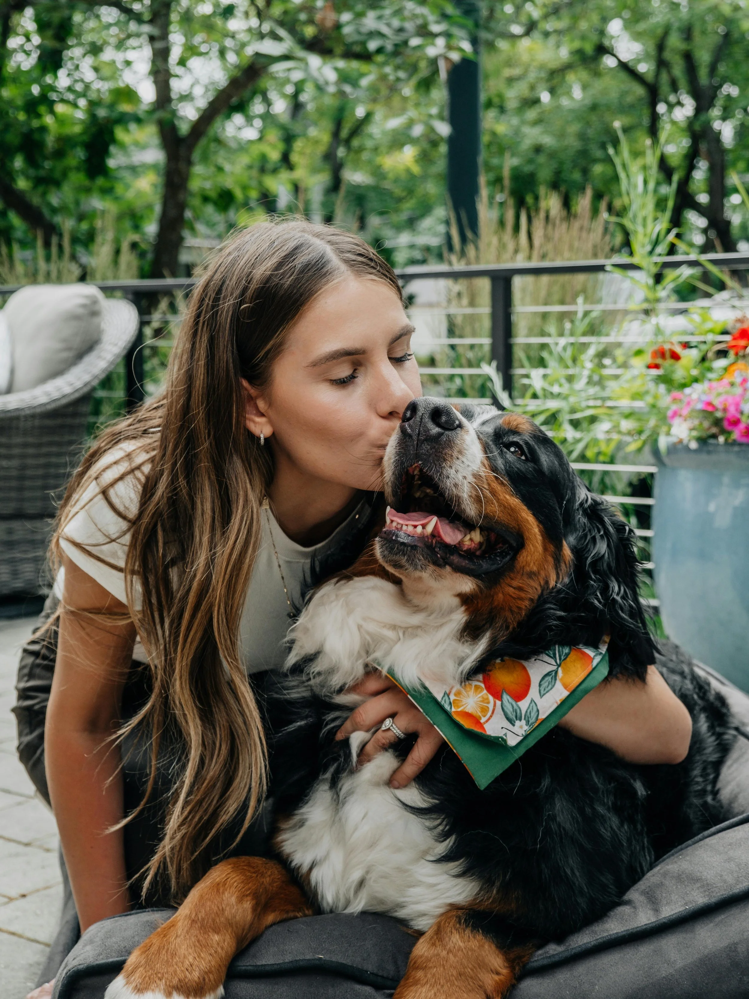 A woman is kissing and hugging a large Bernese Mountain Dog outdoors on a patio, surrounded by greenery and flowers.