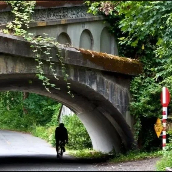 Table 8 - Madison Park / Leschi