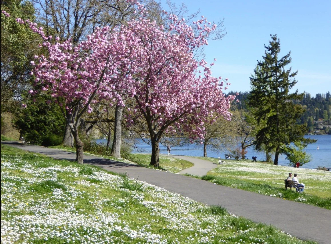 Table 9 - Seward Park