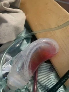 70748475082__9C377708-D0CF-4625-BD28-AA5AC13F7E6C.jpeg
