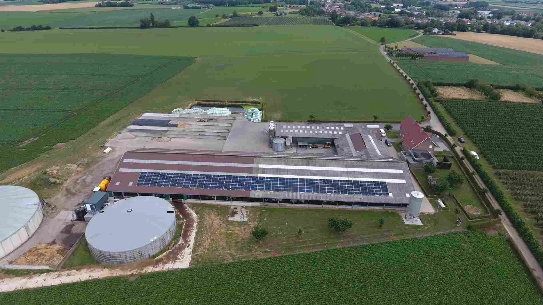 Zonnepanelen Schimmert