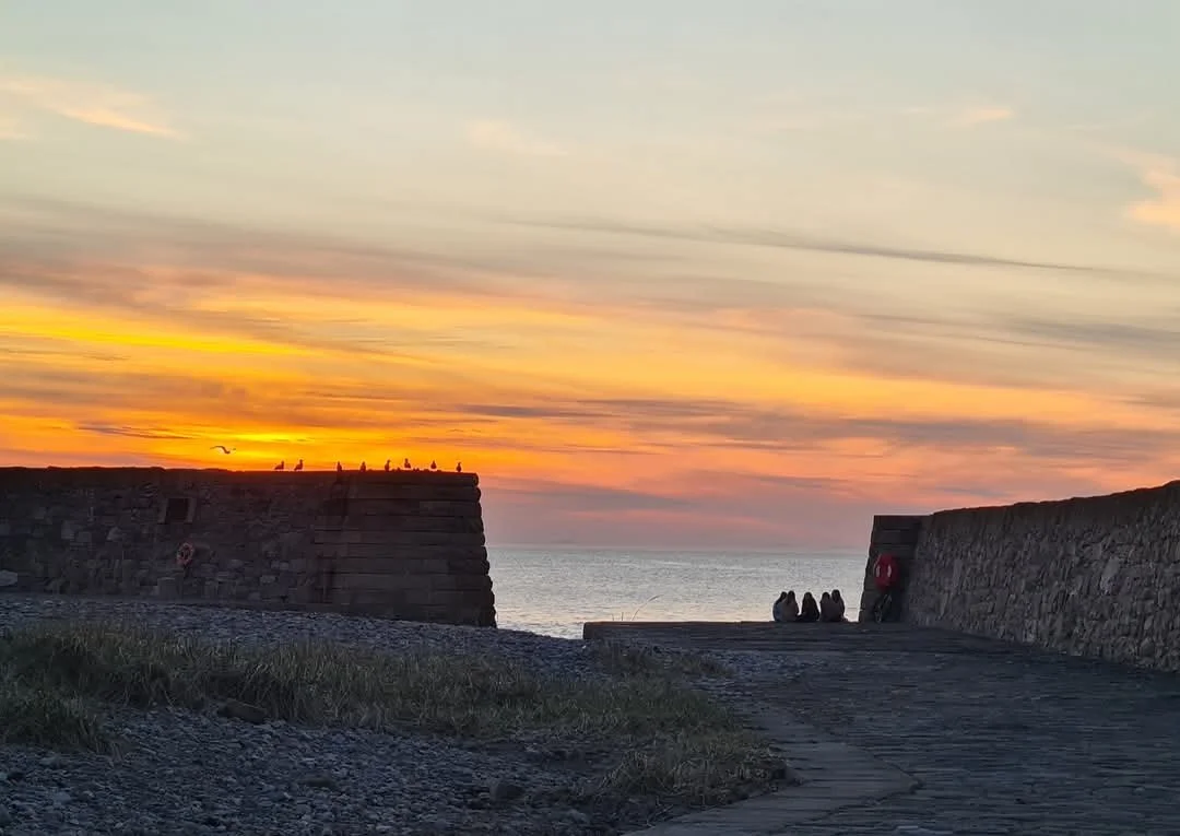 A sunset view over the ocean with a stone pier. Seagulls are perched on the pier's wall, and a small group of people is sitting at the end, enjoying the scenery.
