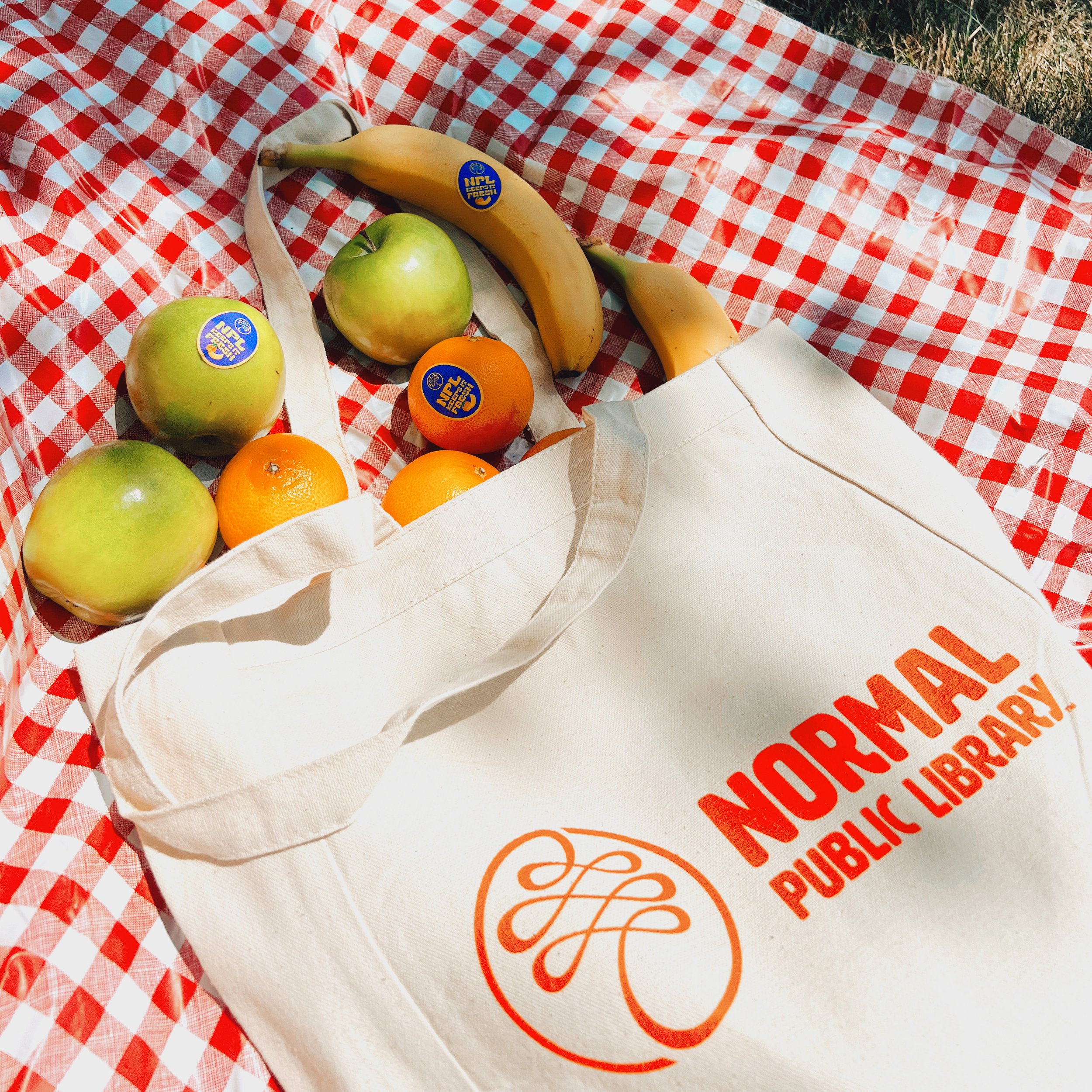 Normal Public Library canvas tote bag laying on a red and white checkered picnic blanket and a variety of fruit spilling out