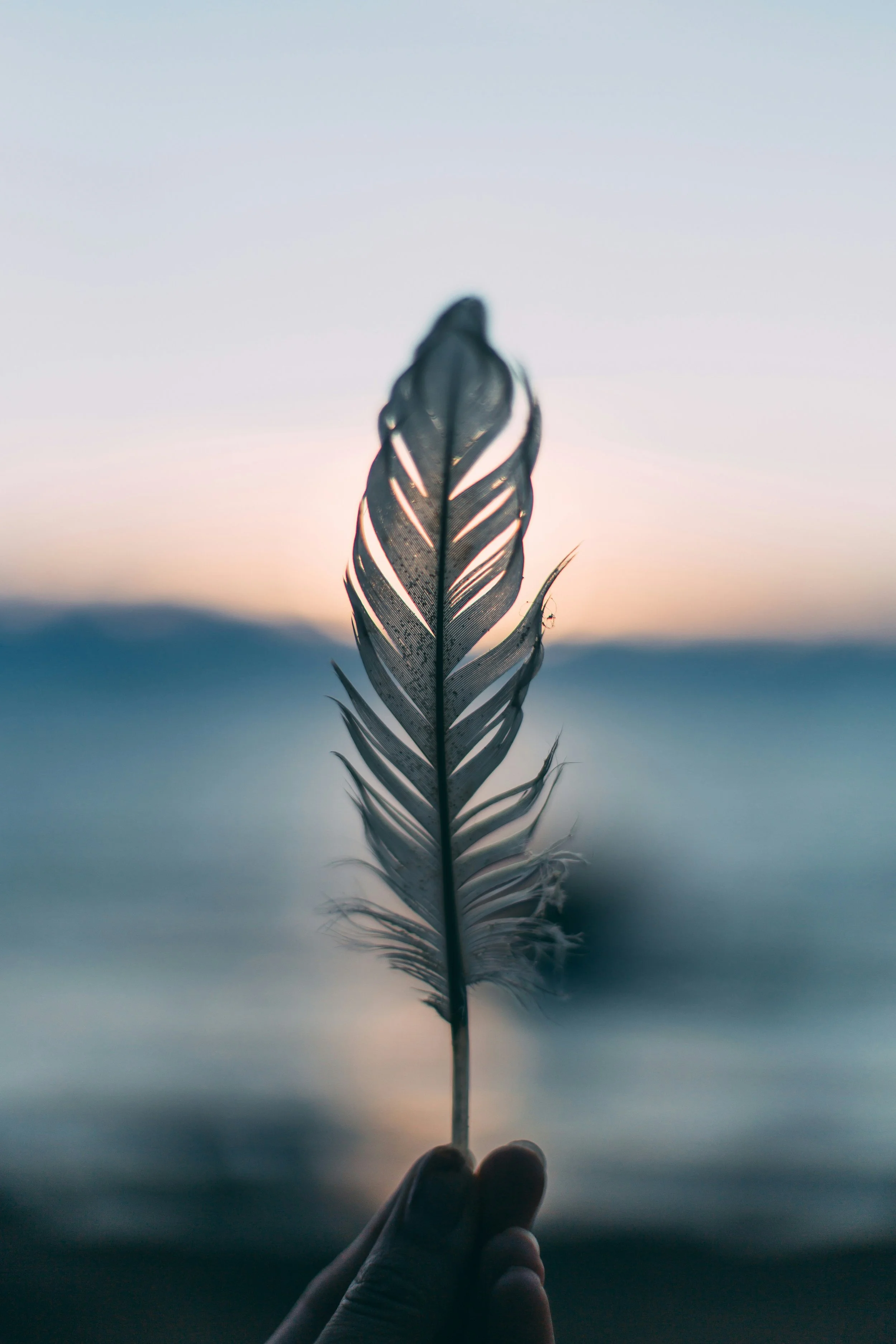 A person is holding a feather with a blurred ocean and sunset sky in the background.