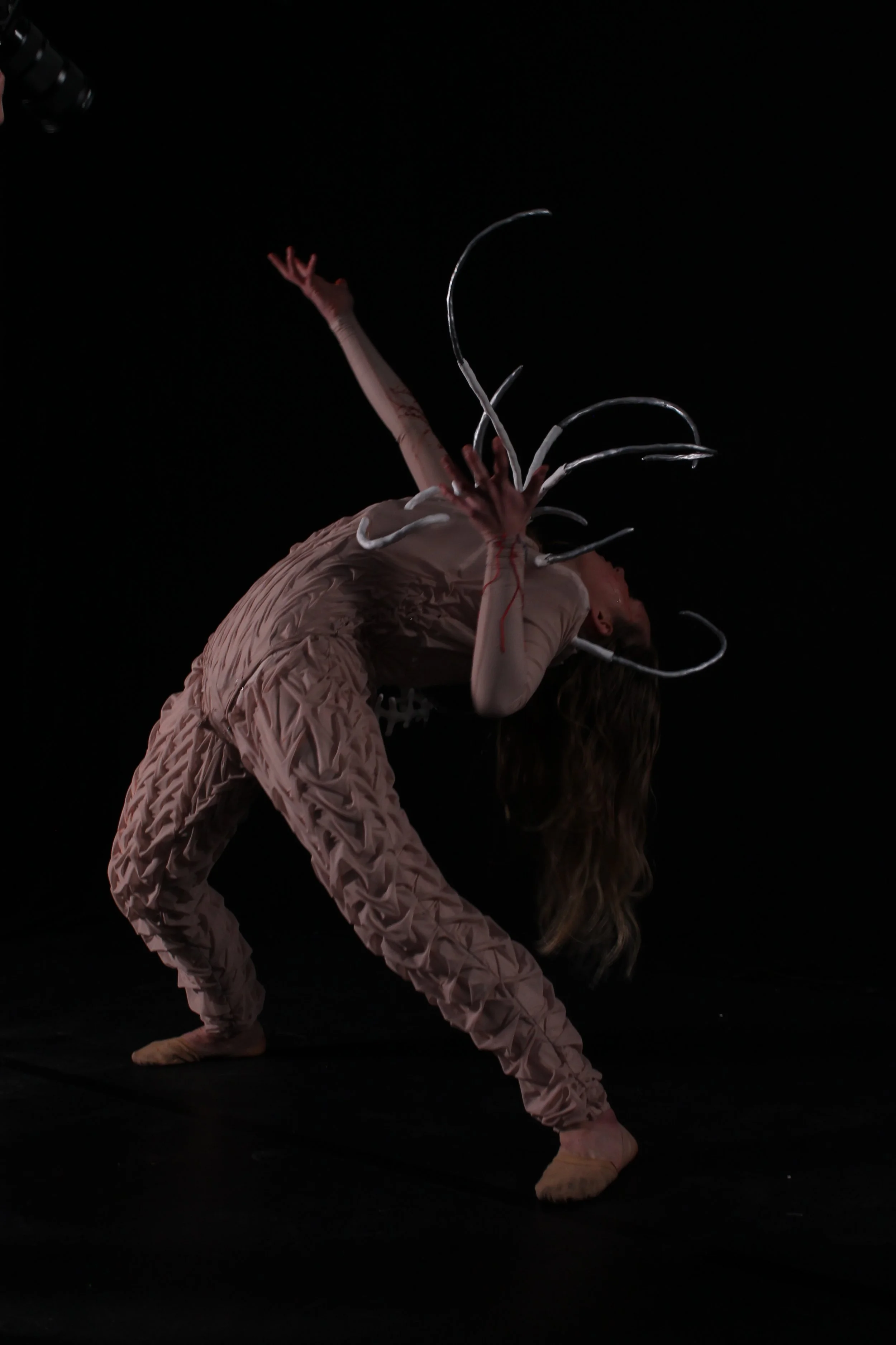 Trypanophobia project 2023 
Performer: @rachhboyd