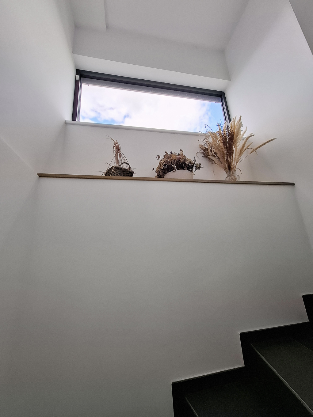 Vue d'un intérieur moderne avec une fenêtre haute, des murs blancs et des plantes séchées sur un rebord.