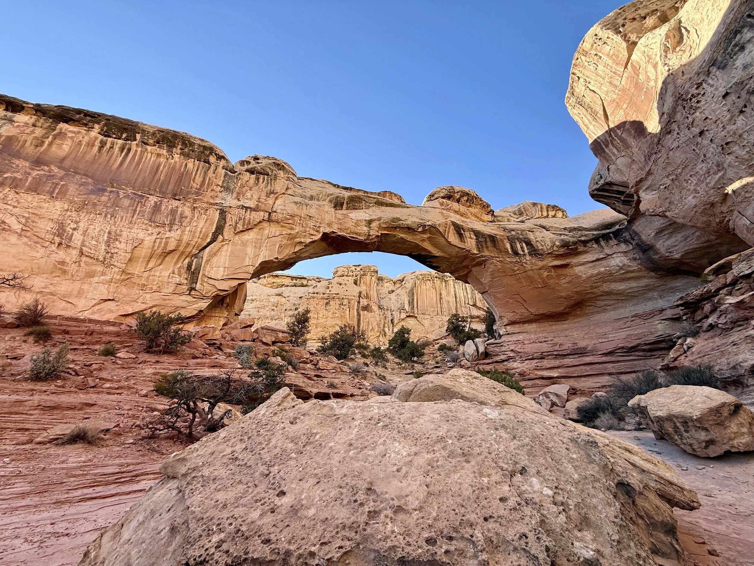 A natural stone arch formation in a desert landscape with red and beige rocks, sparse desert vegetation, and a clear blue sky.