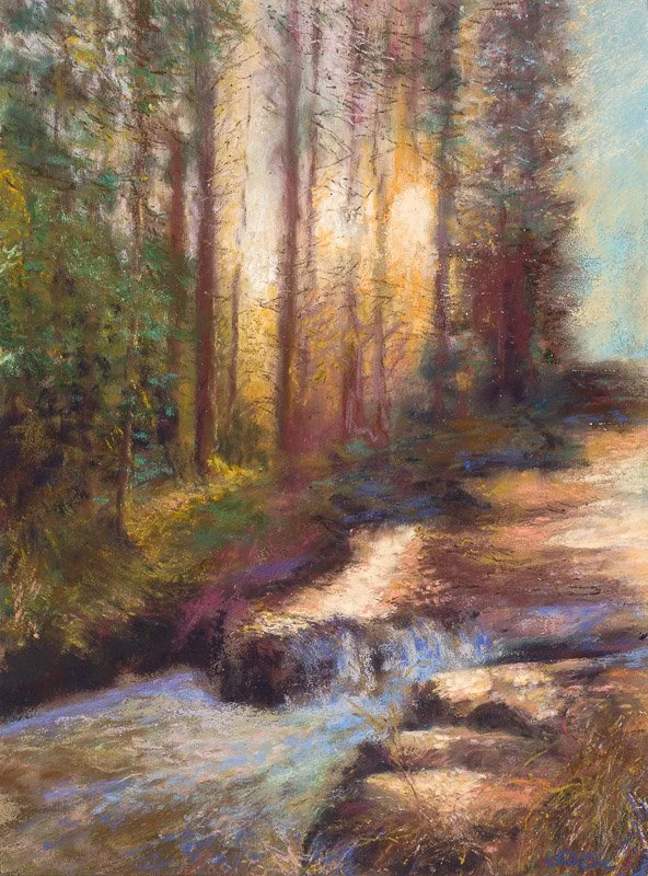 Beneath the Redwoods