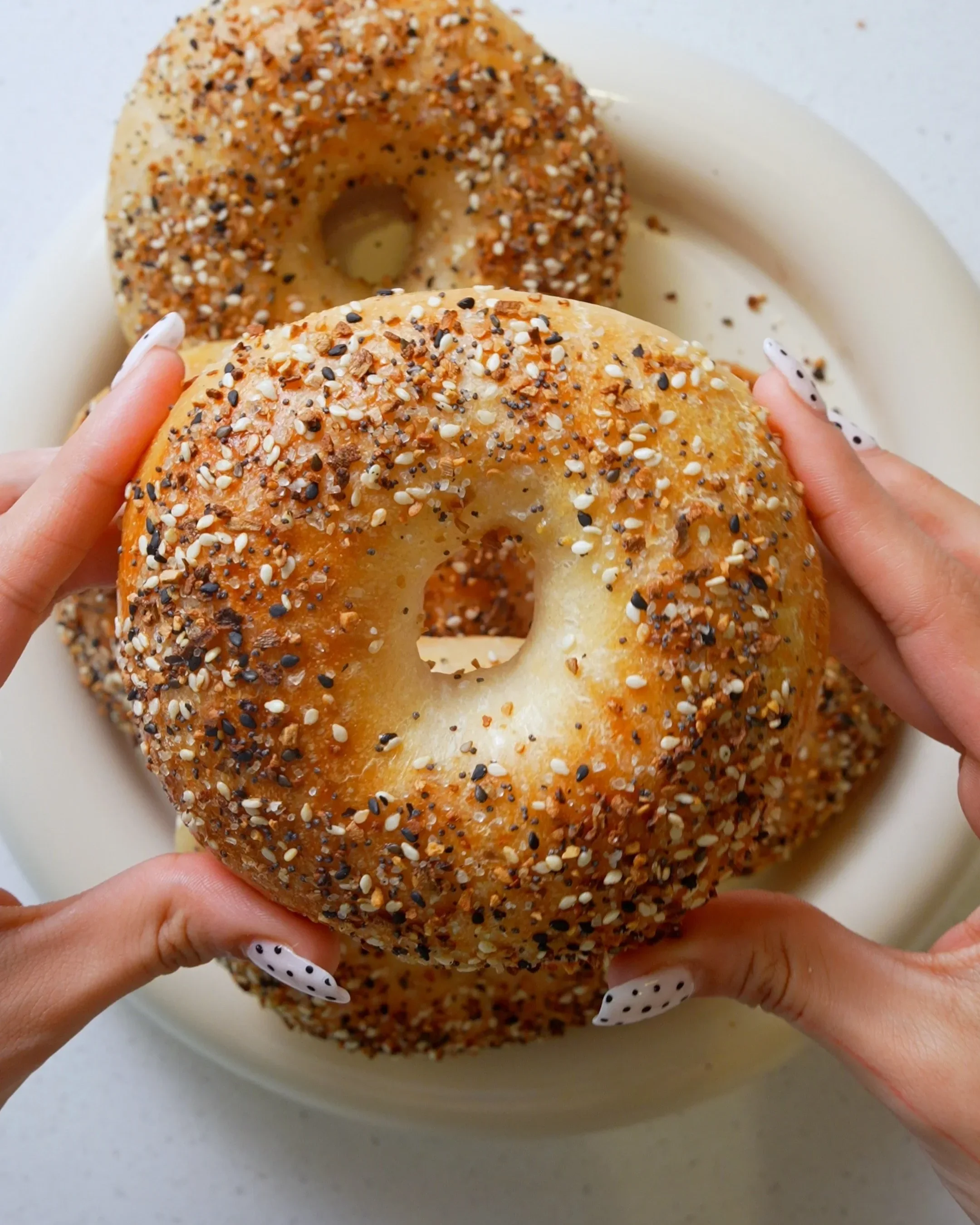 New York Style Everything Bagels