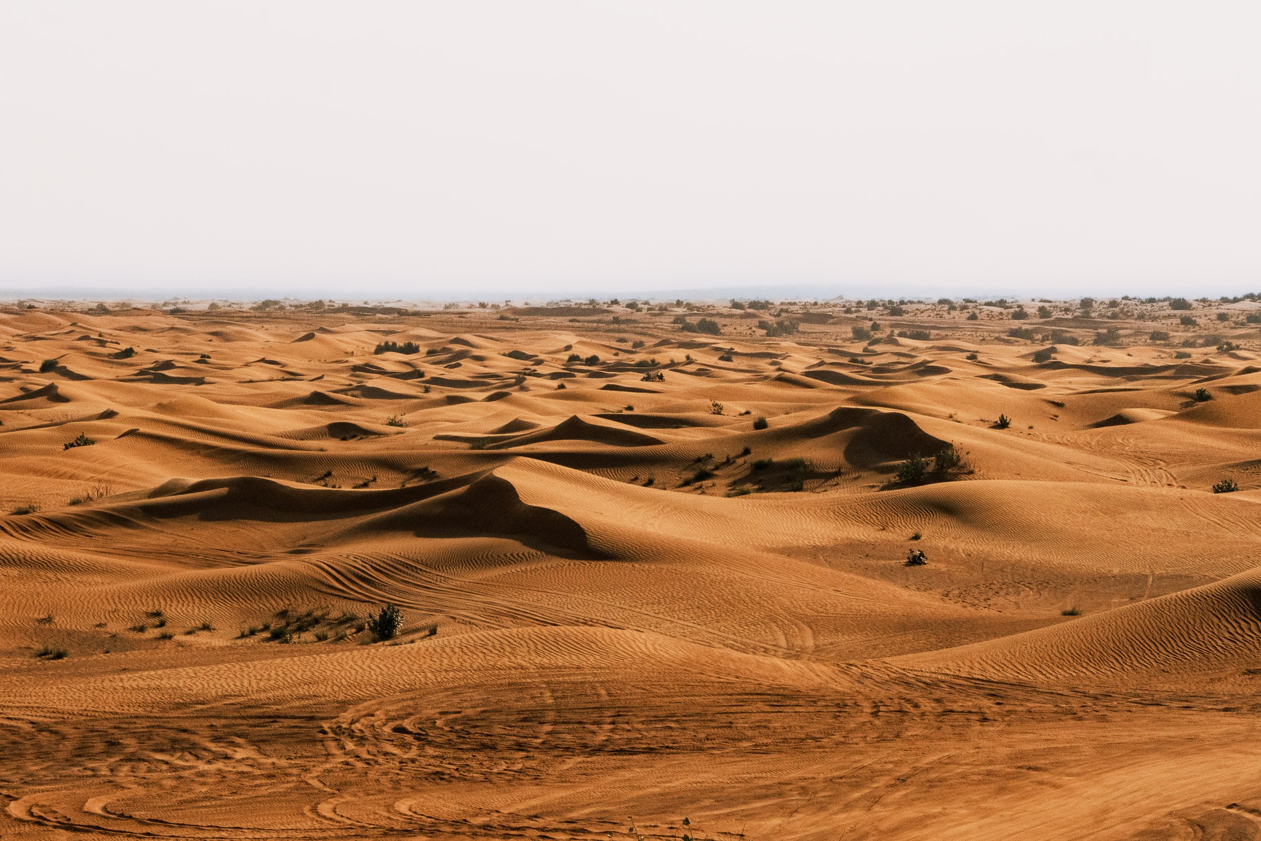 Desert with rolling sand dunes and sparse vegetation under a cloudy sky.