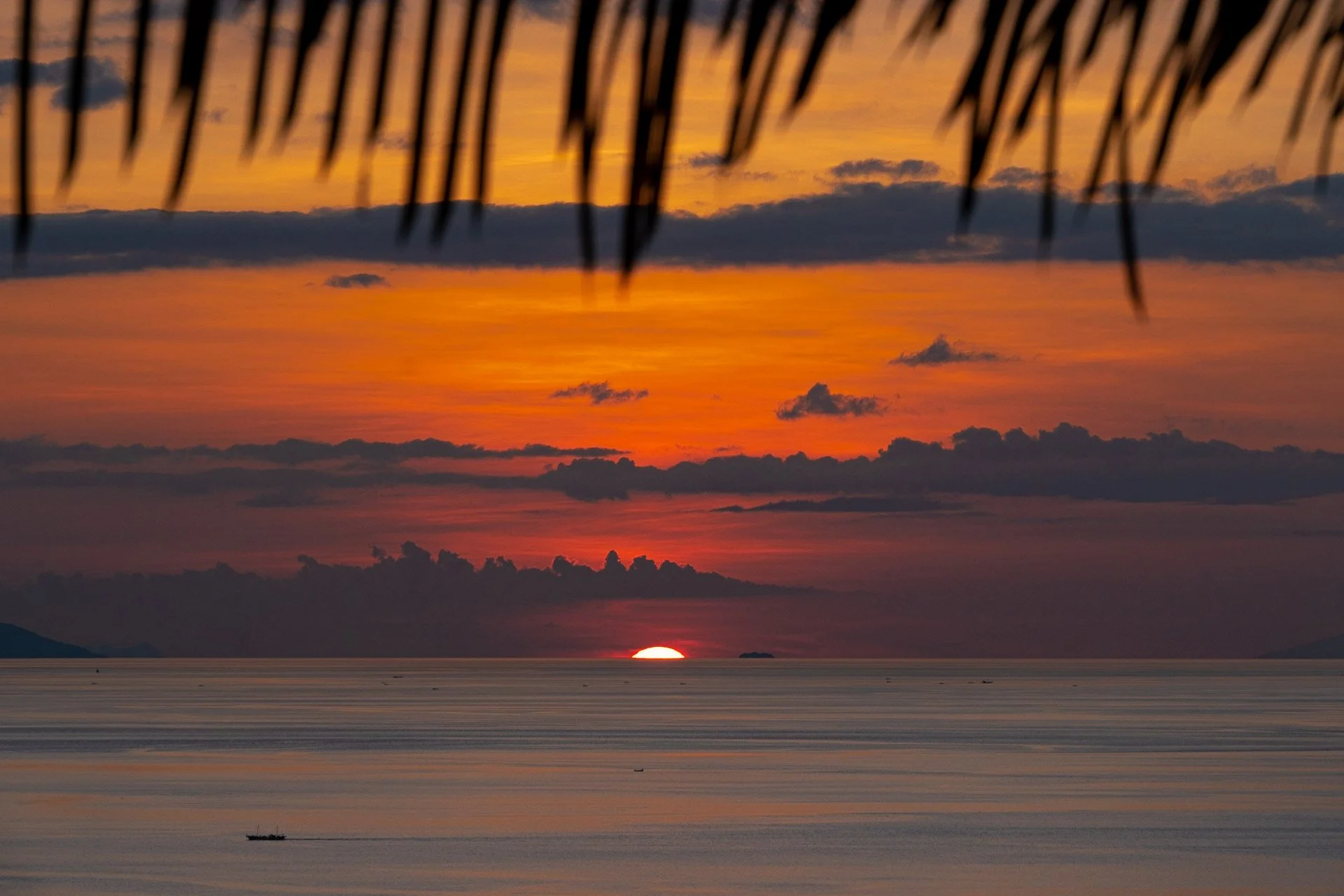 Sunset over the ocean, with a silhouette of a boat in the water, and a palm tree frond at the top.