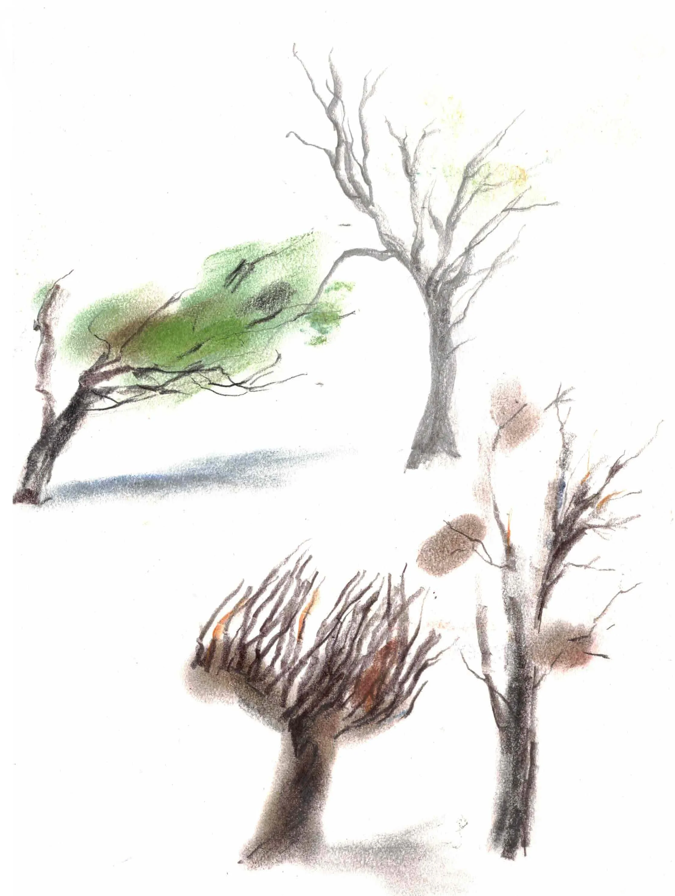sketch 9.jpeg