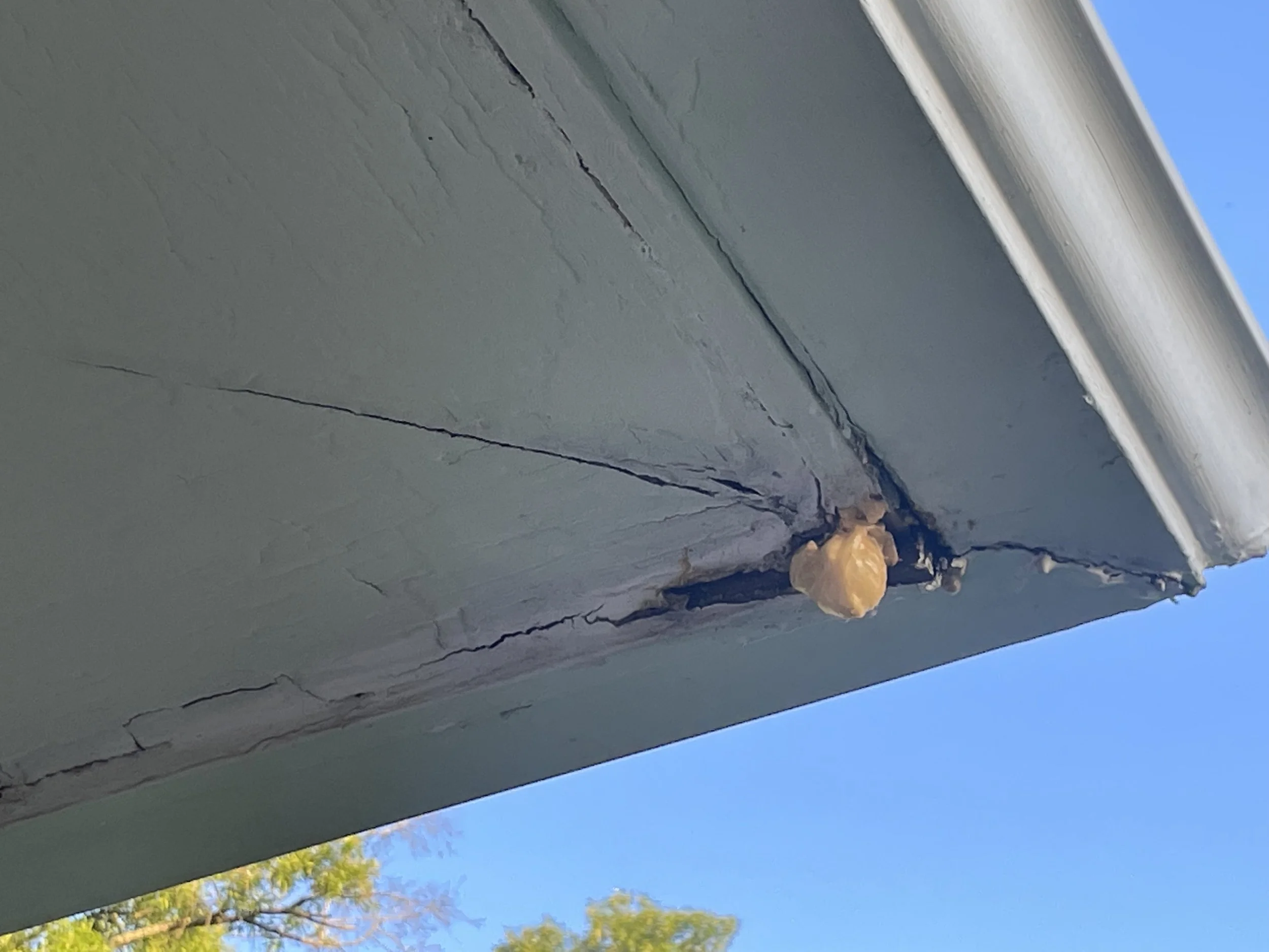 Soffit Repair 1.jpeg