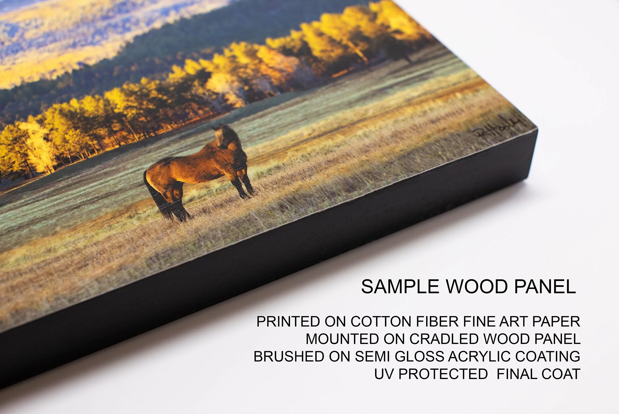 SAMPLE WOOD PANEL TRANQUILITY 2026.jpg