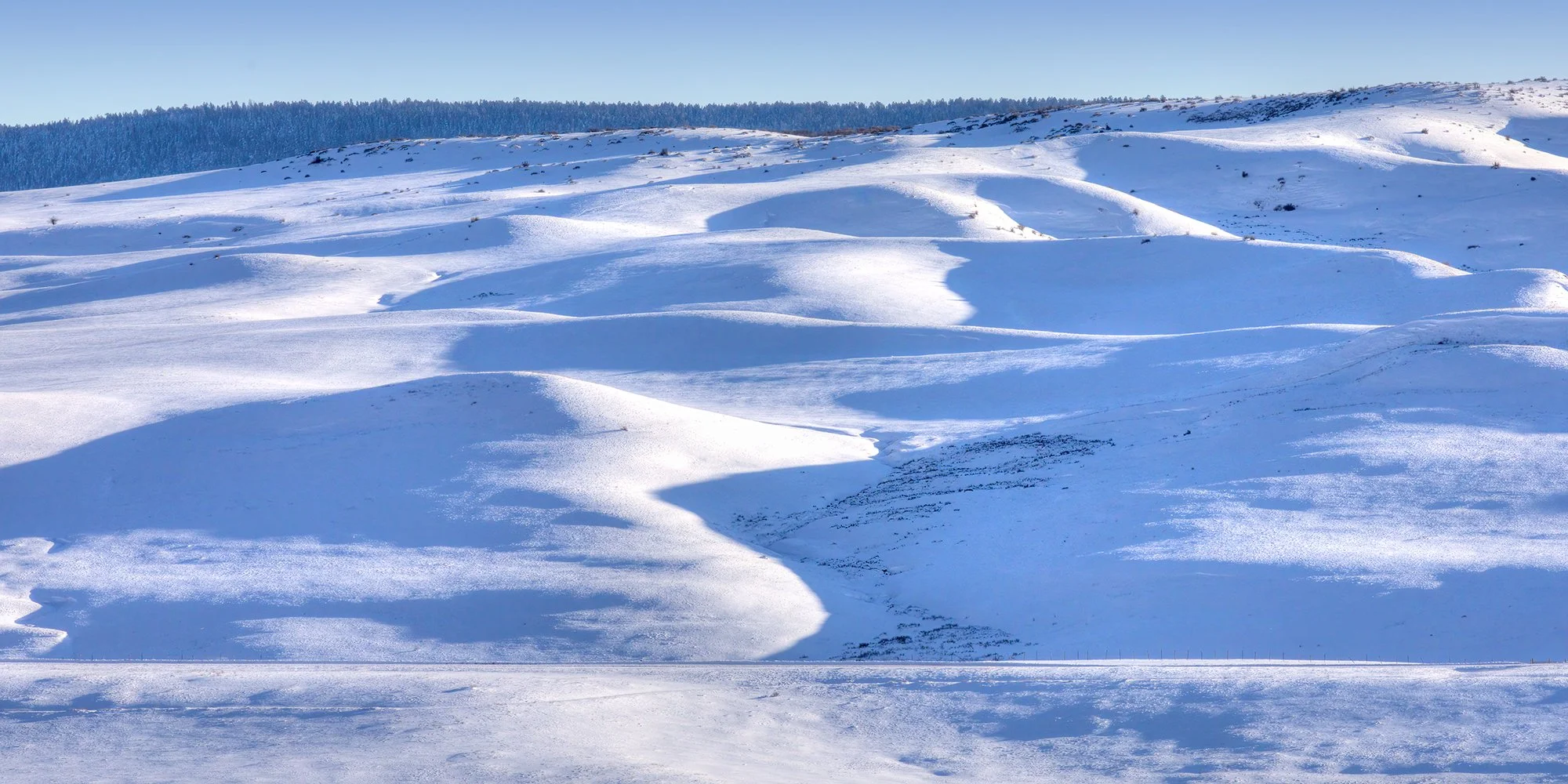 hadleyimages-CONTOURS IN THE SNOW V.1.jpg