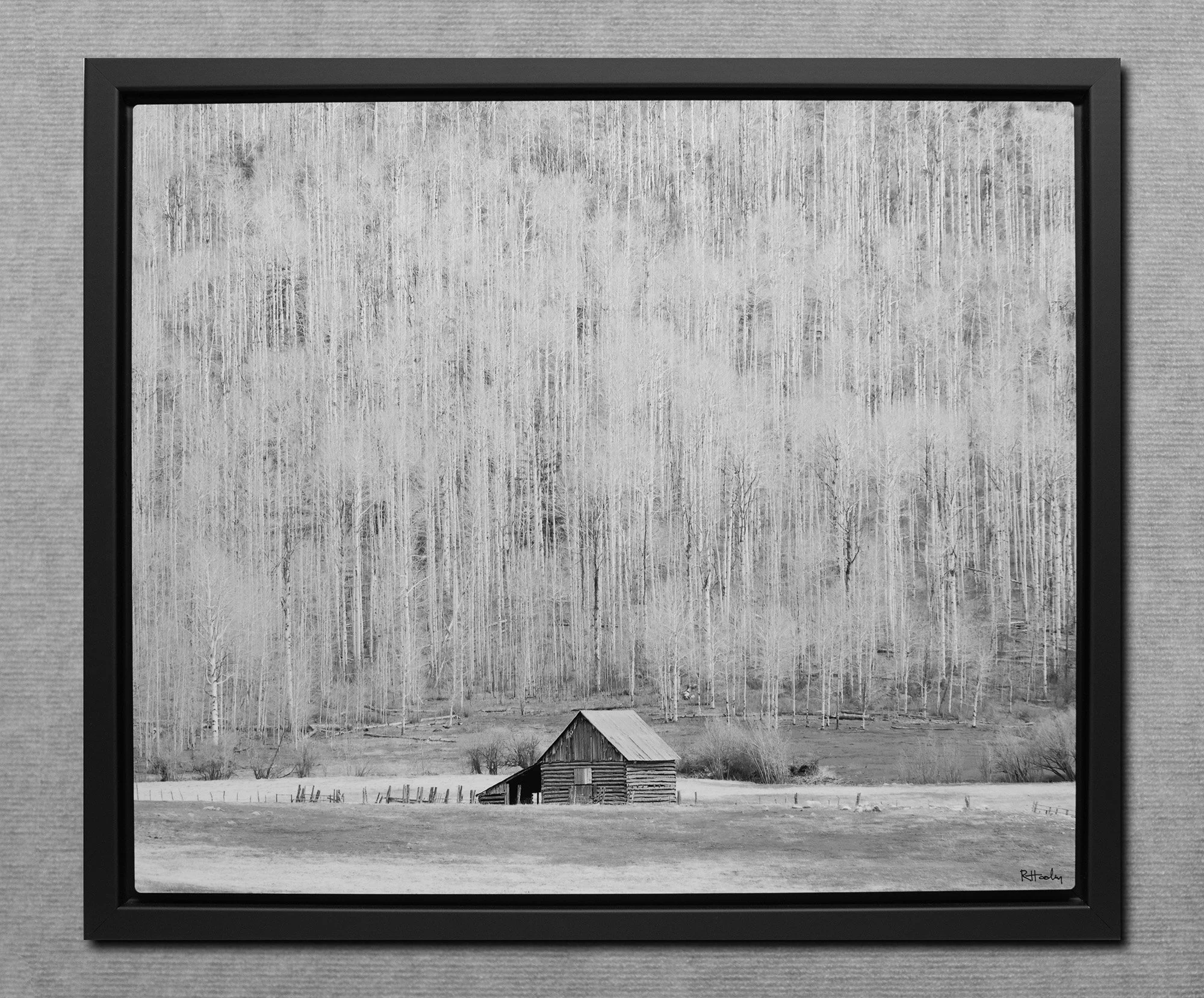 Black and white photograph of a small wooden barn in front of a forest of leafless trees, framed on a wall.