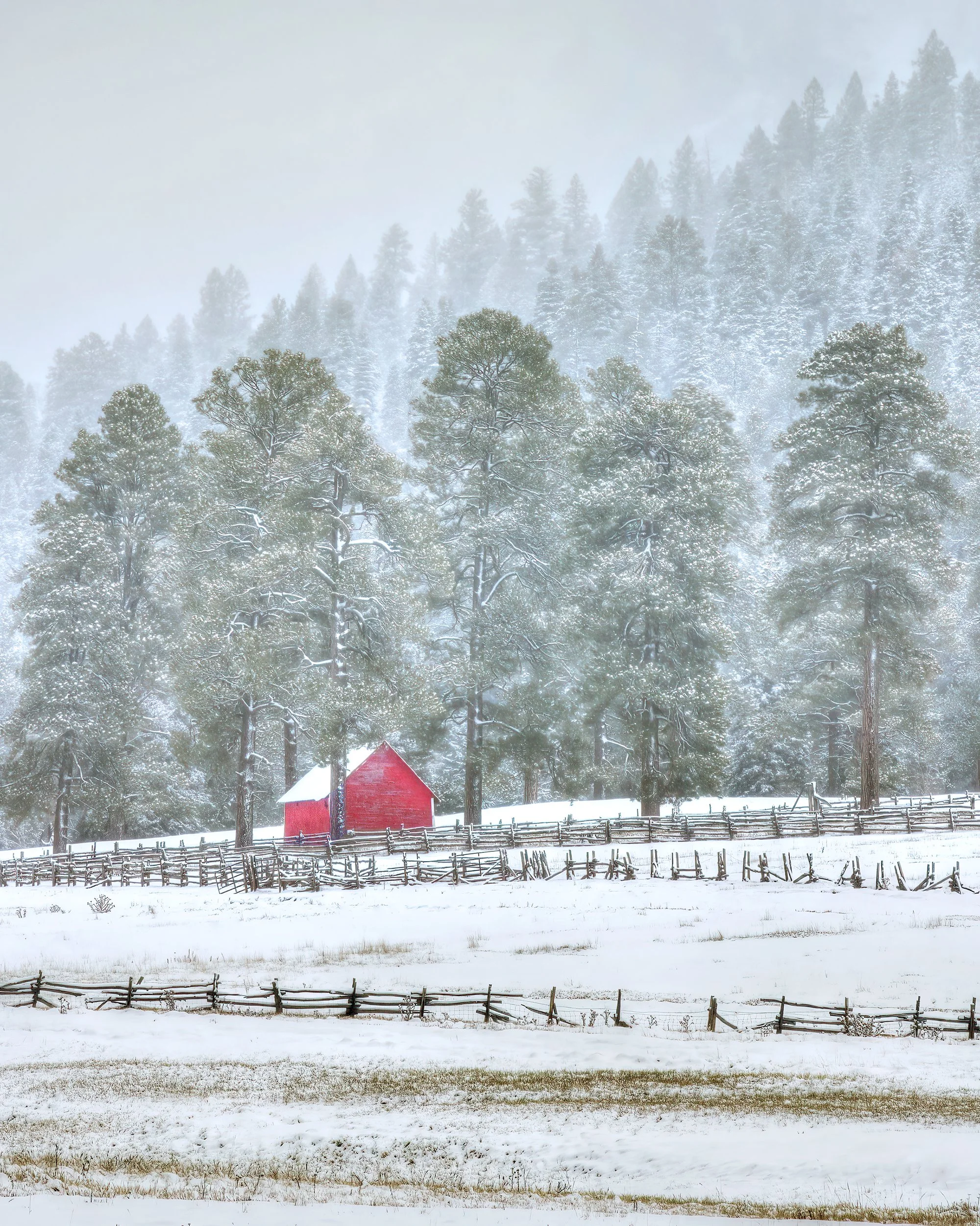 Snow-covered landscape with tall trees, a small red barn, wooden fences, and foggy mountains in the background.