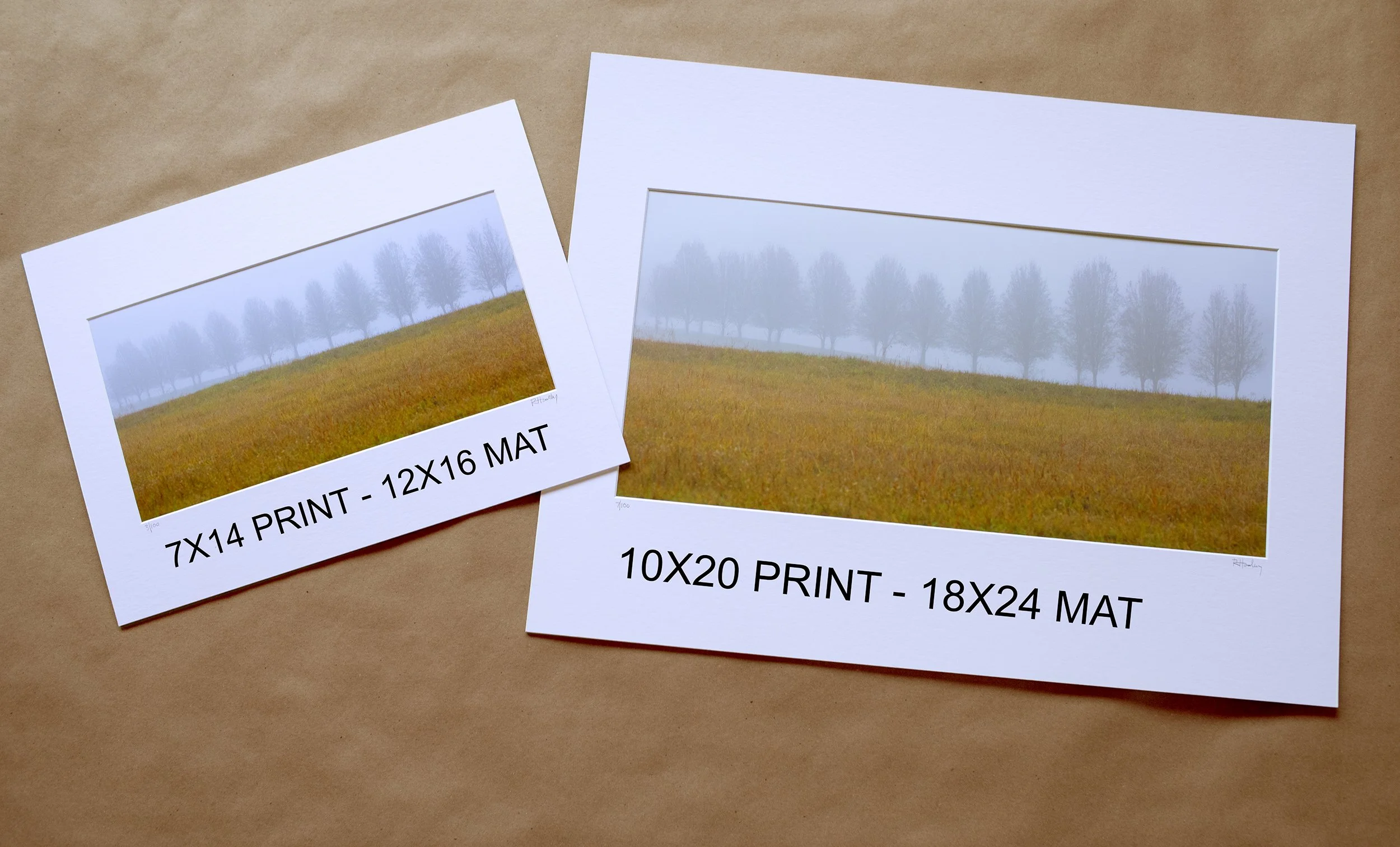 Photographs of a foggy landscape with a row of trees on a grassy field, showing different print sizes with labels indicating dimensions and paper types.