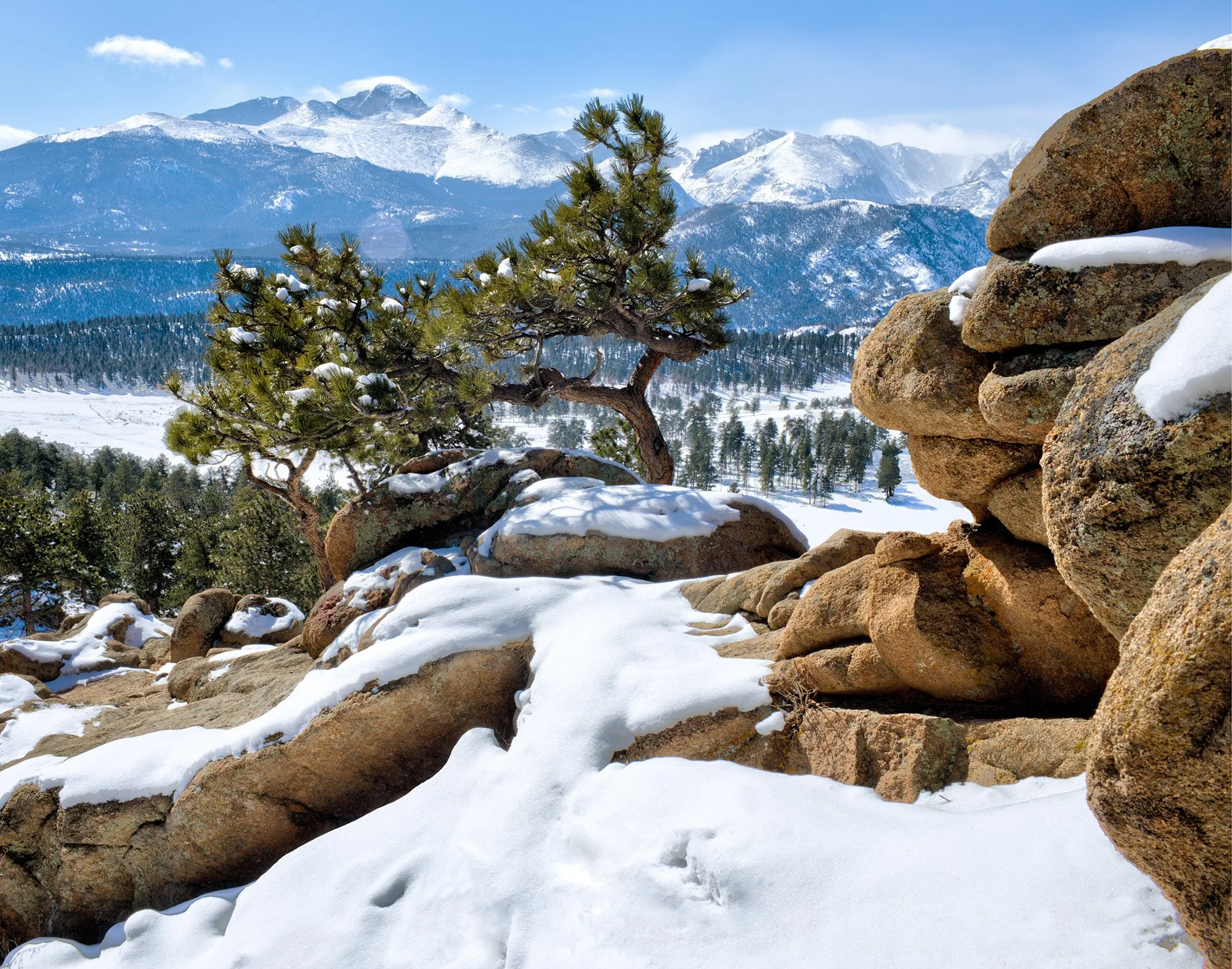 Longs Peak On The Rocks