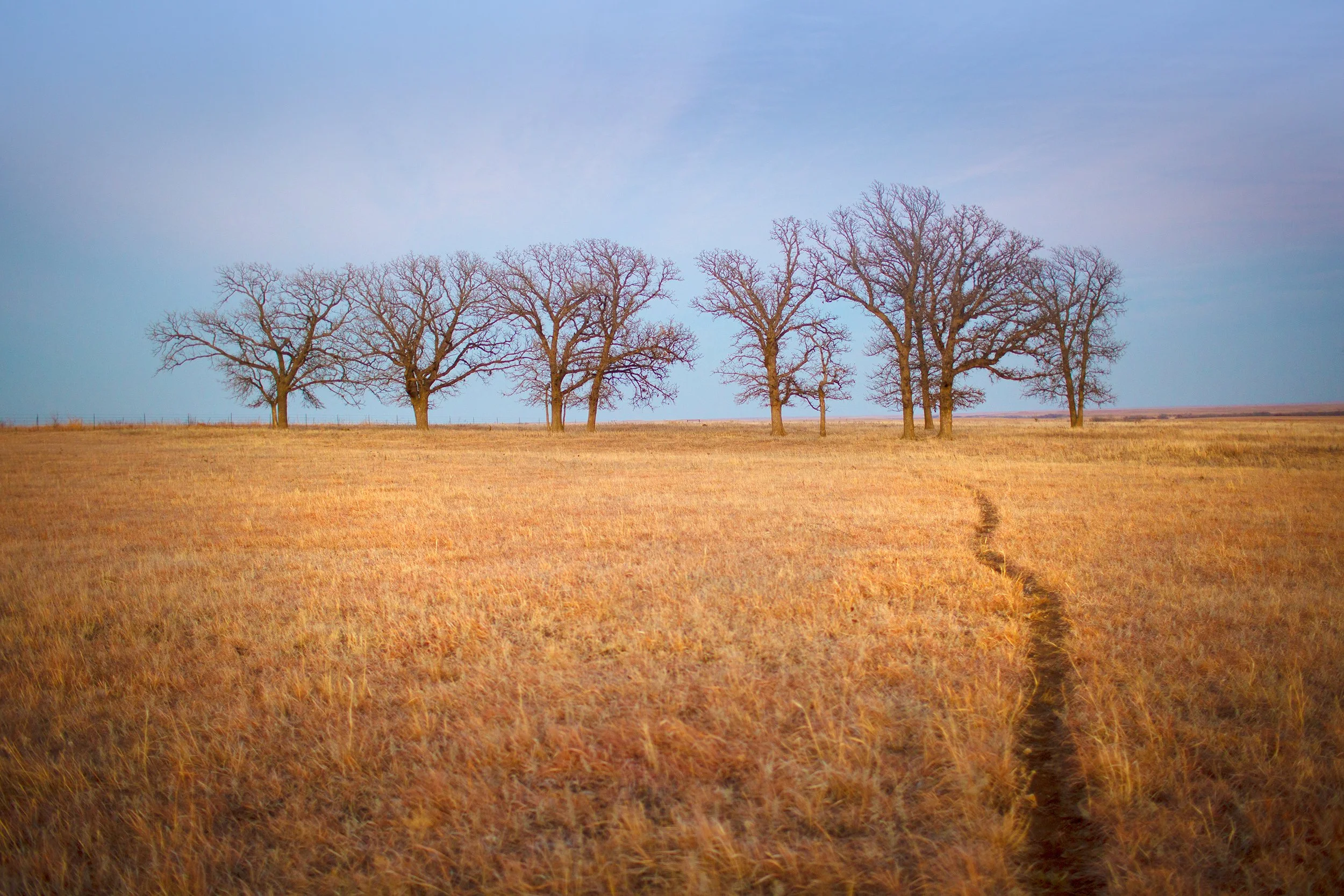 Kansas Winter Trail