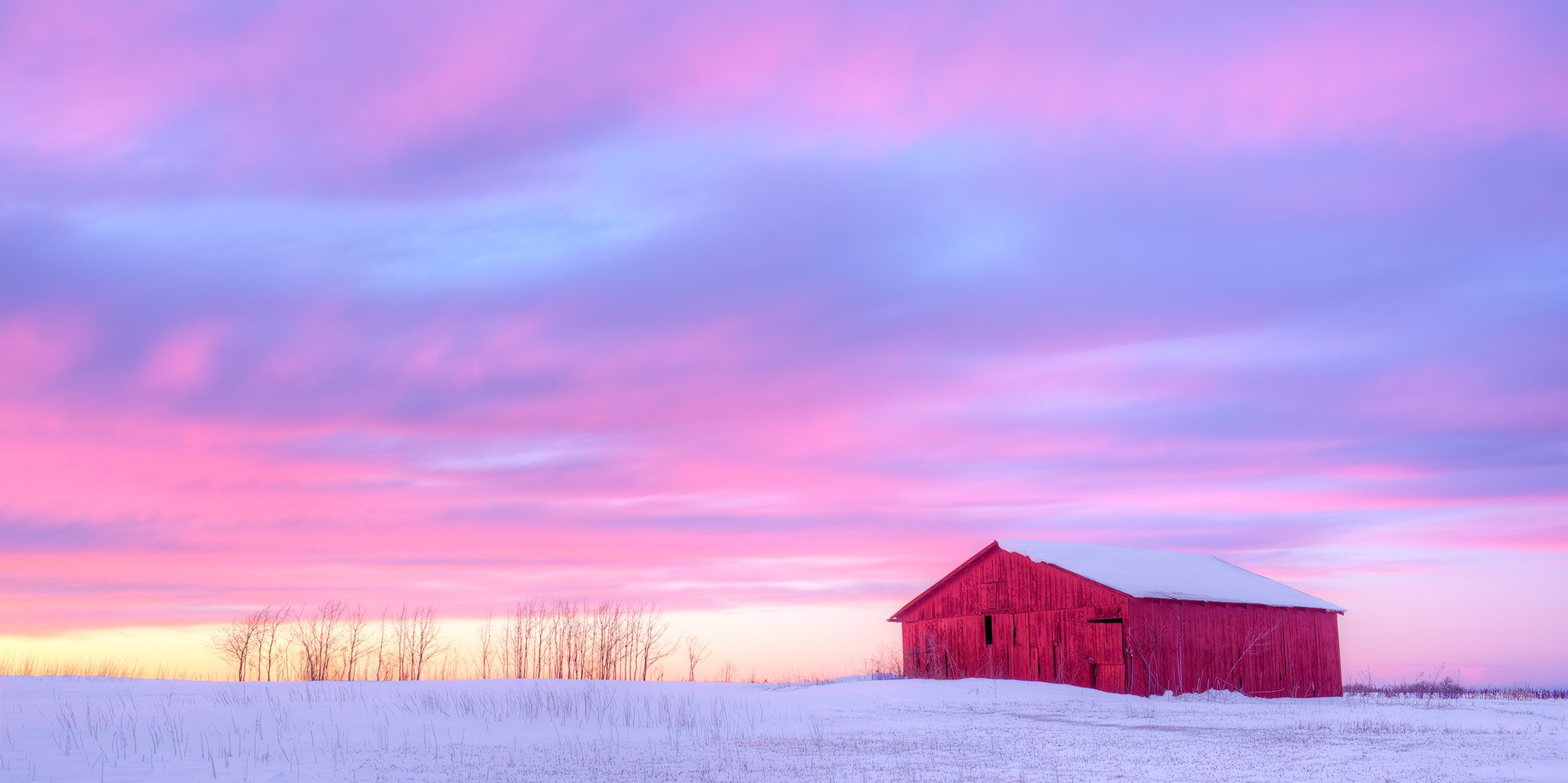 Red Barn In Winter