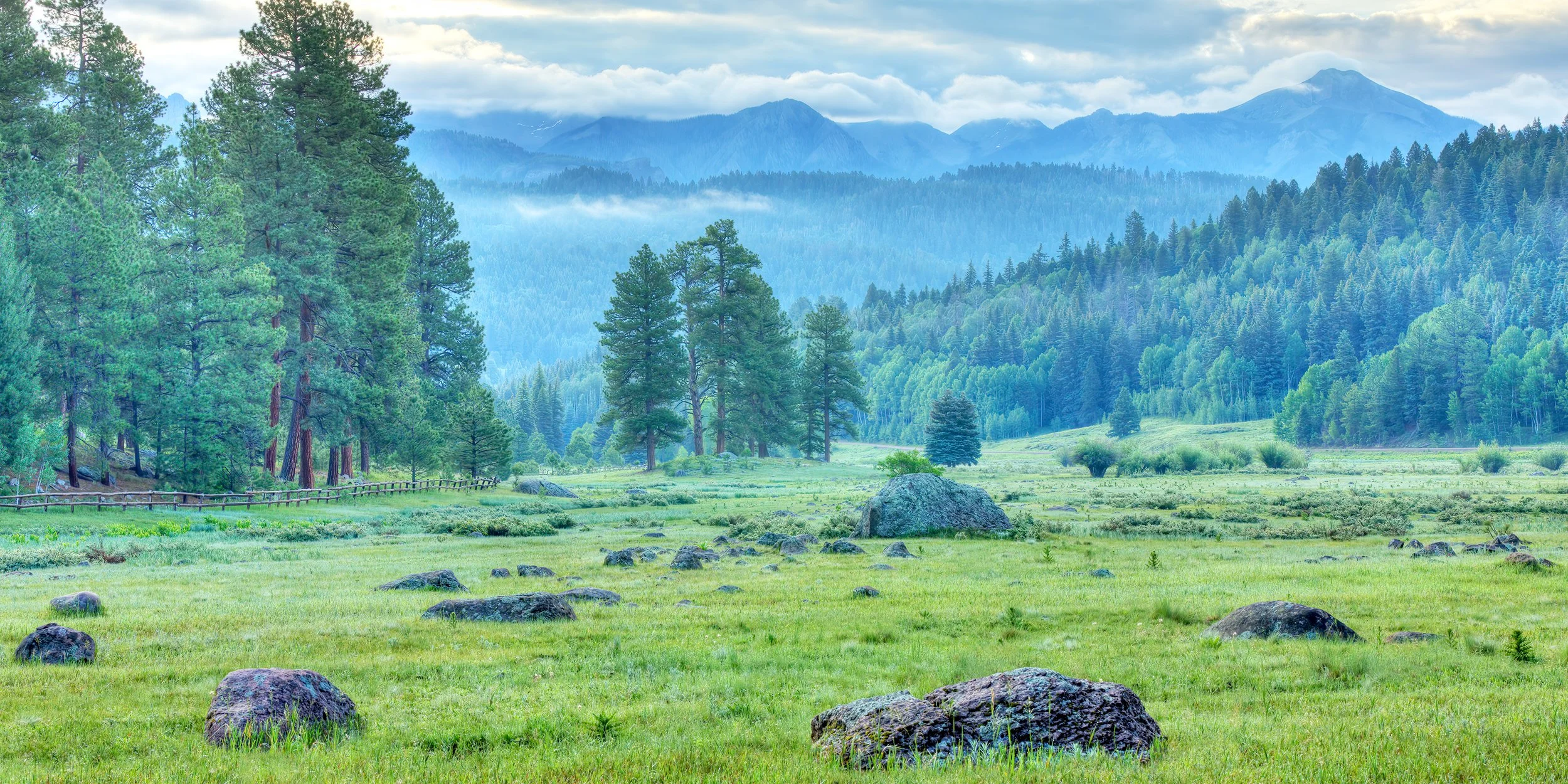 Rocky Mountain Meadow