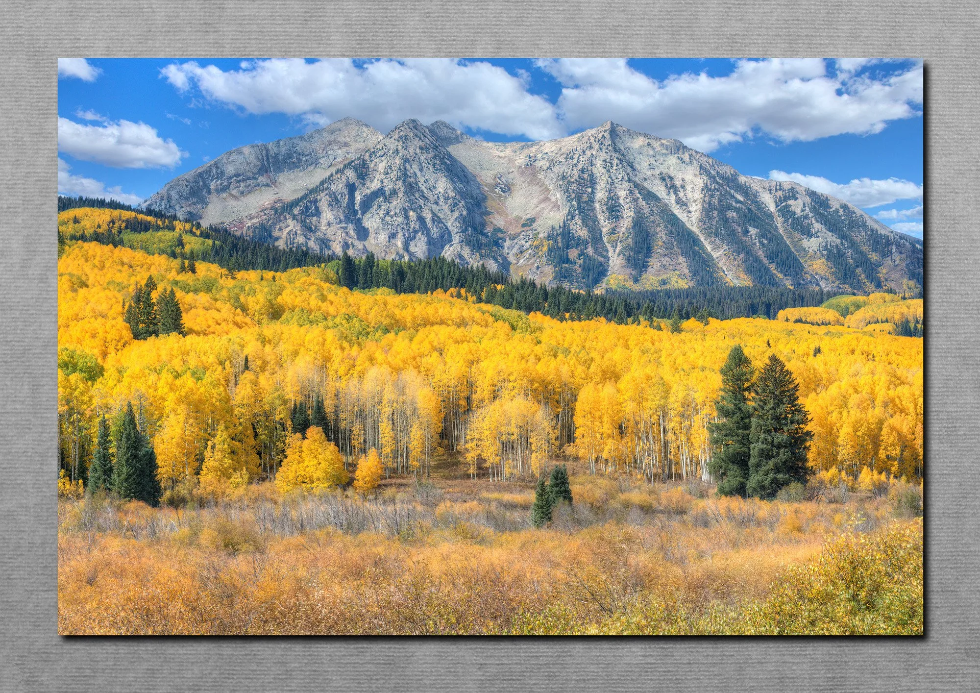 "Kebler Pass" 20X30"  Metal Print   Black Edge Frame