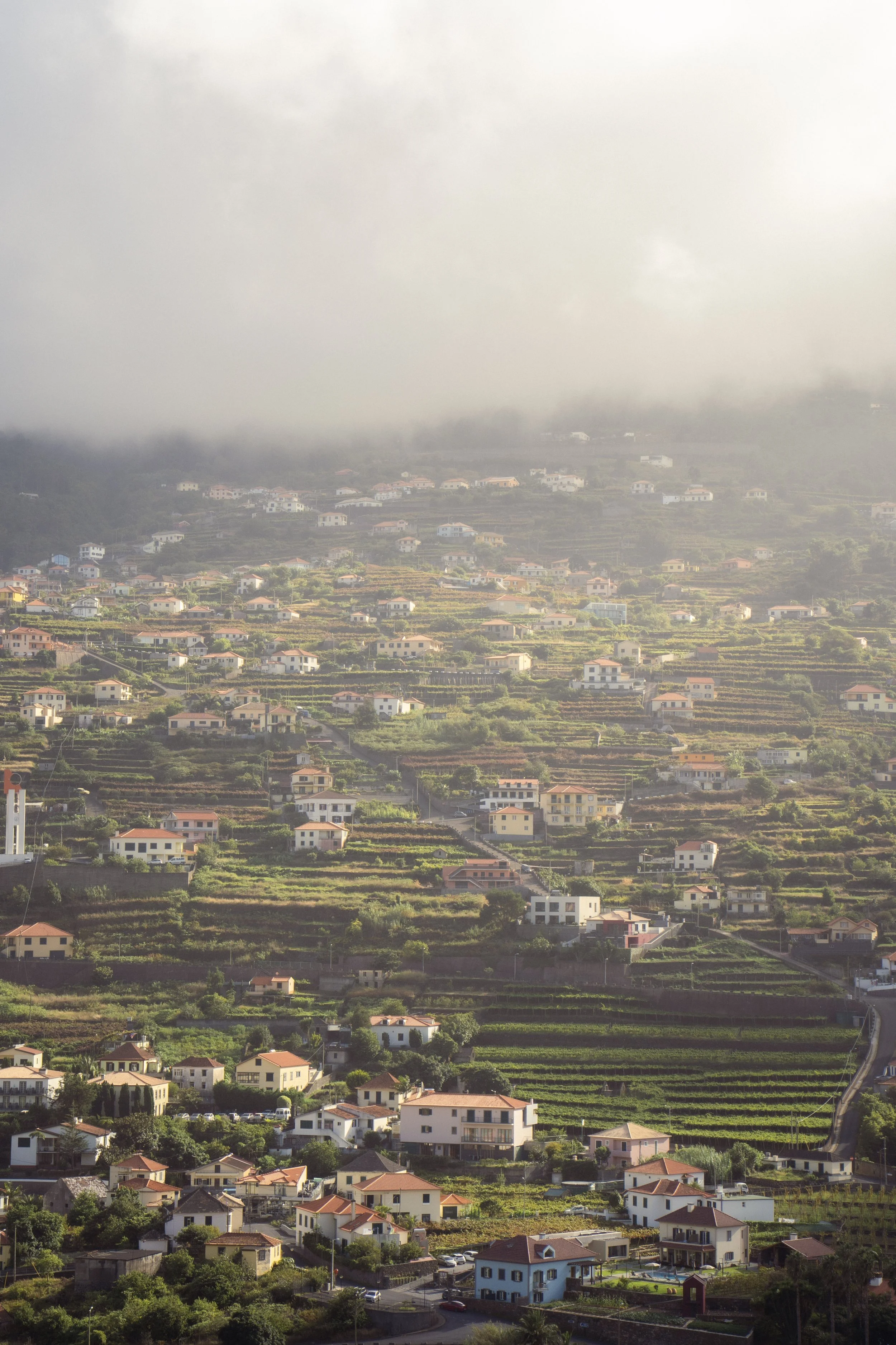 Trippy häuser (1).jpg