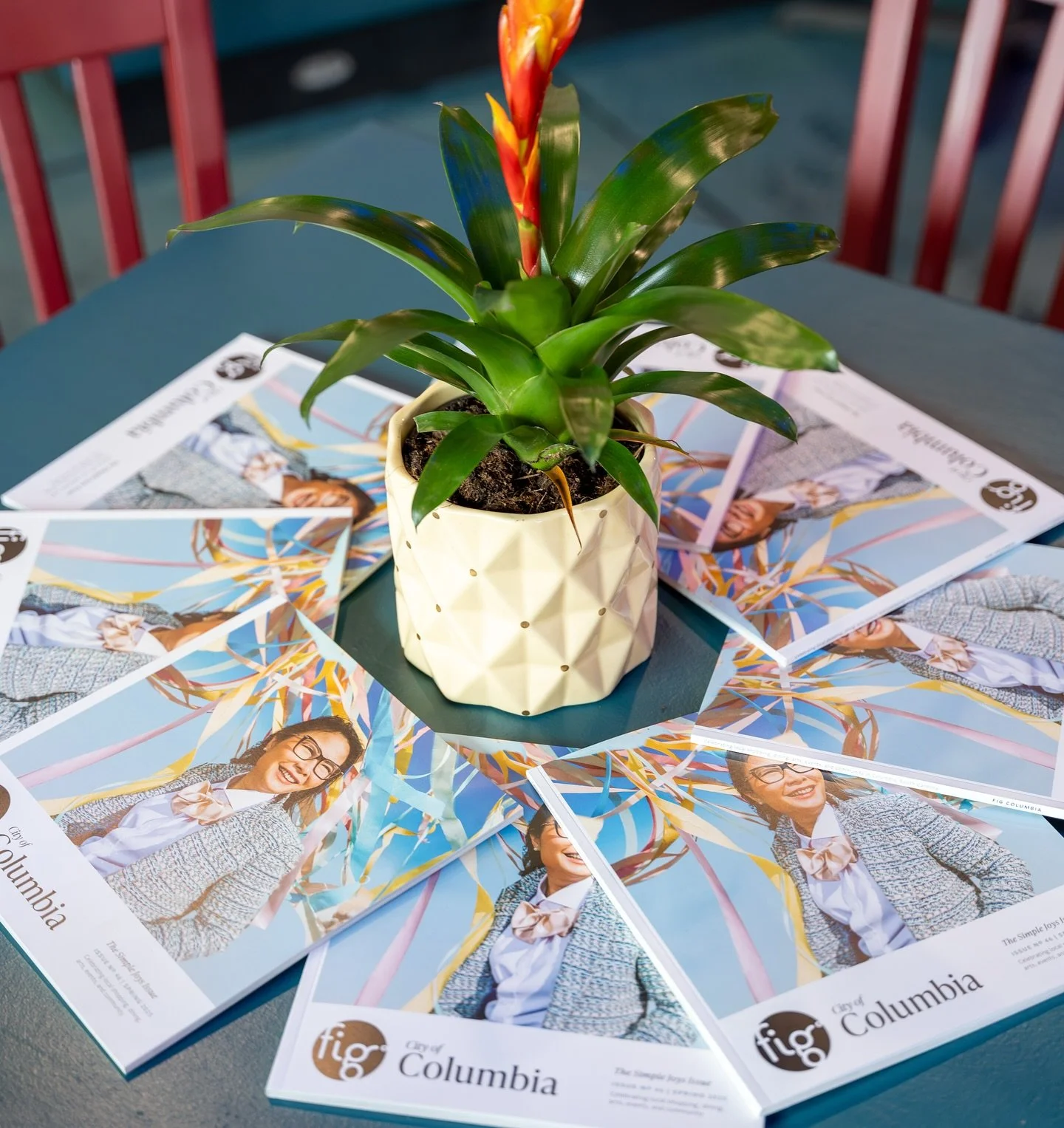 A potted green plant with a red and yellow flower is placed on a table surrounded by several magazines featuring a woman wearing glasses and a blazer.