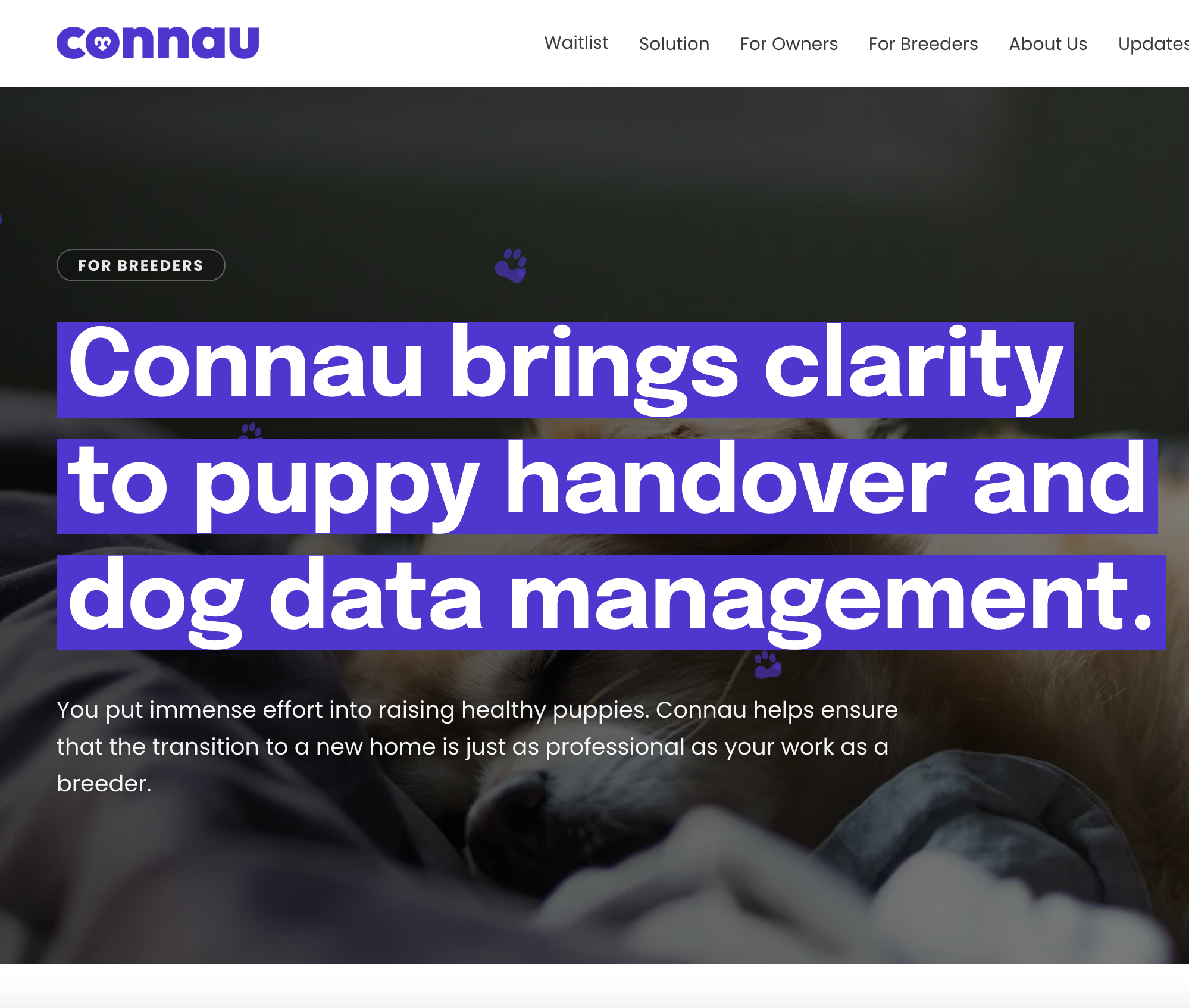A website homepage for Connau, a dog data management company, featuring a headline about bringing clarity to puppy handover and data management with a navigation menu including Waitlist, Solution, For Owners, For Breeders, About Us, and Updates.