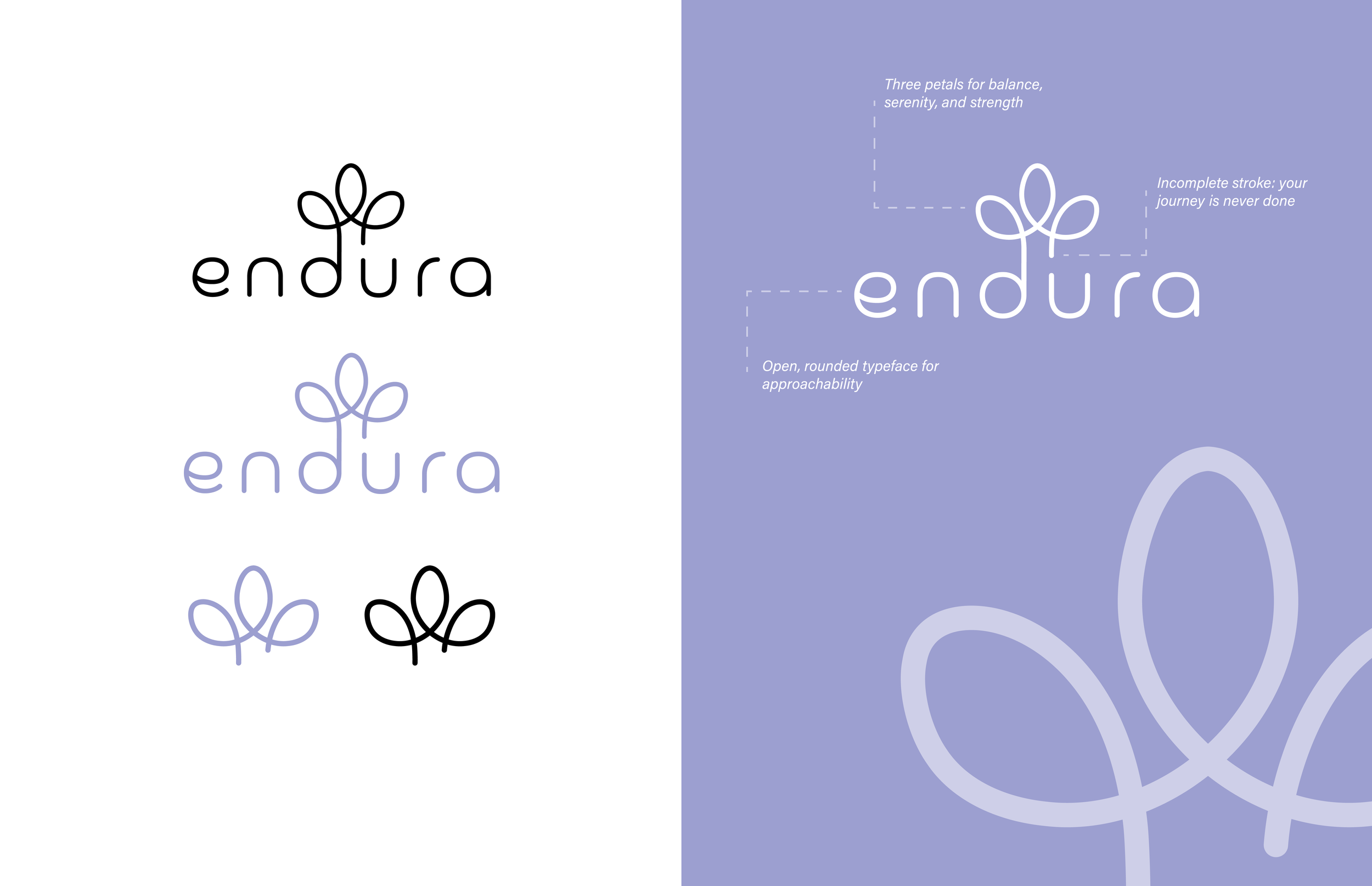 Endura Logo Explained.png