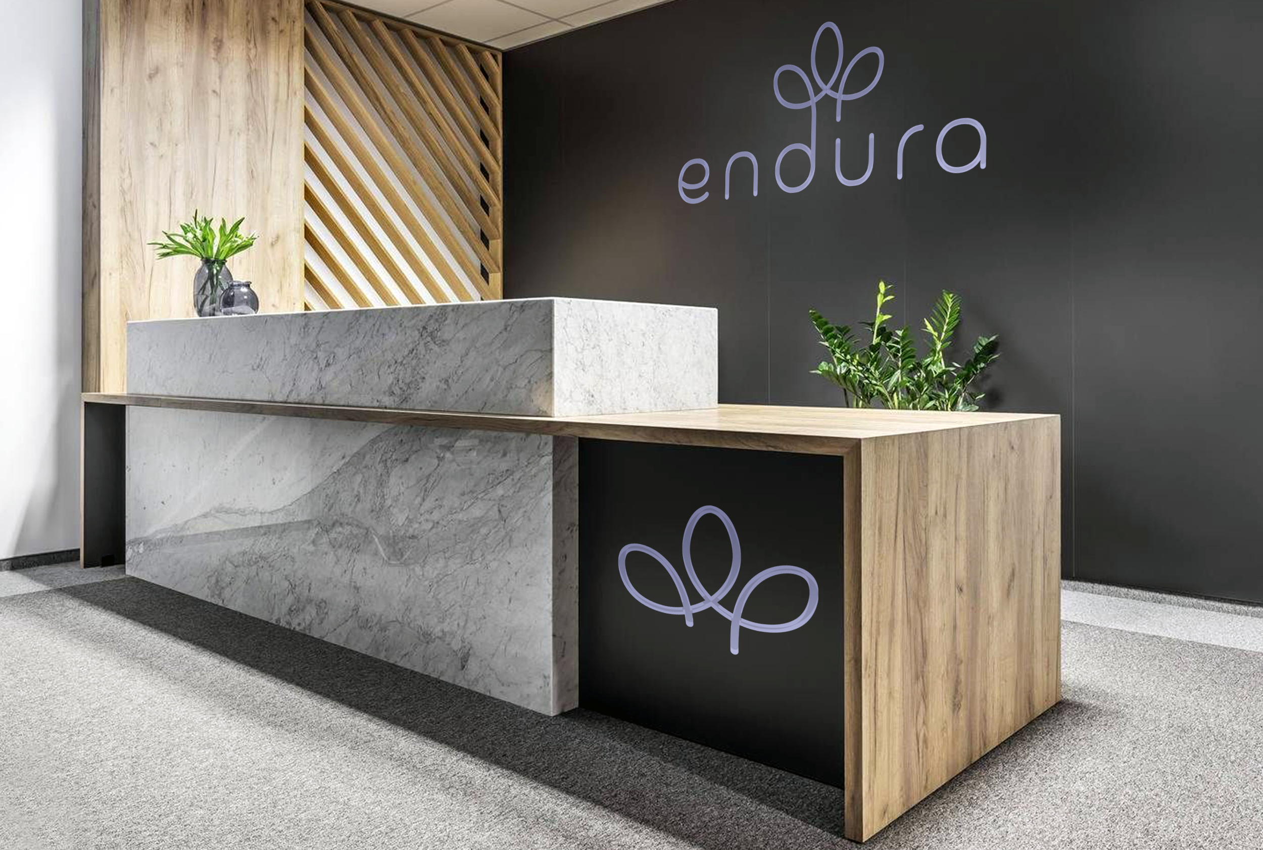 Endura reception Mockup.png