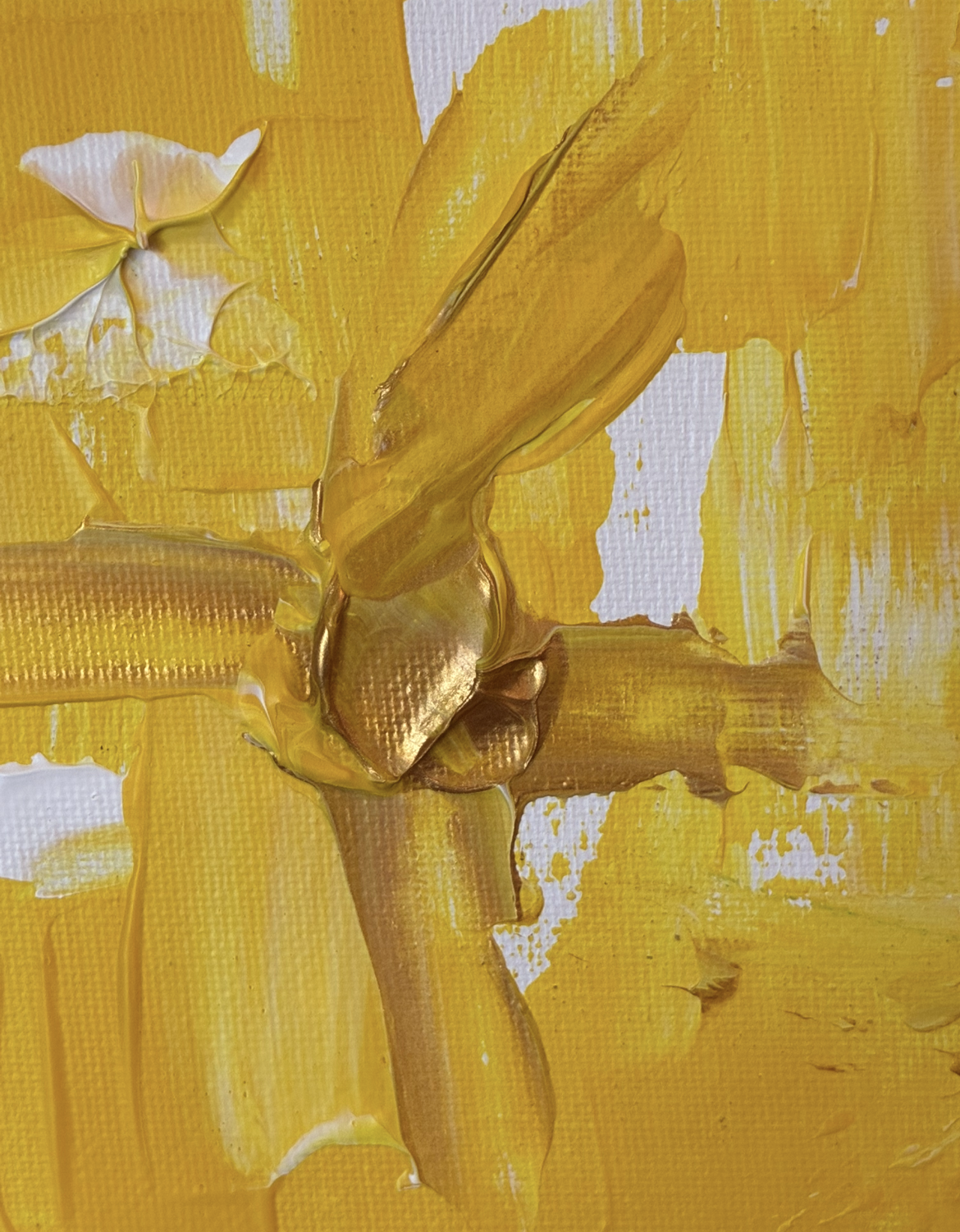 View recent photos 14.png