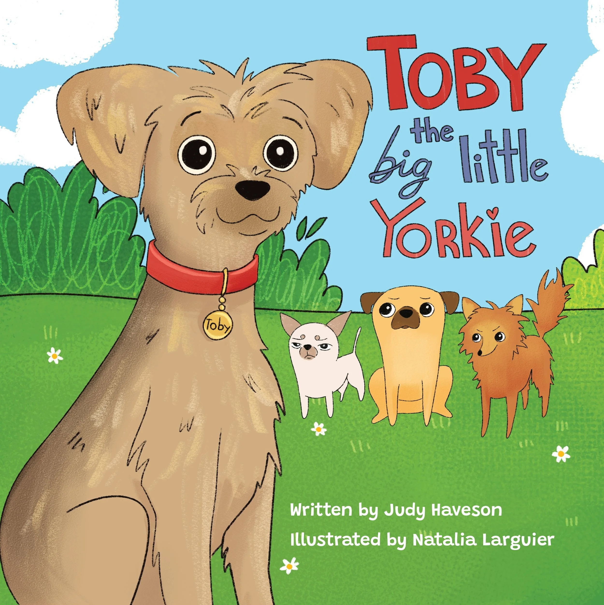 Toby the Big Little Yorkie