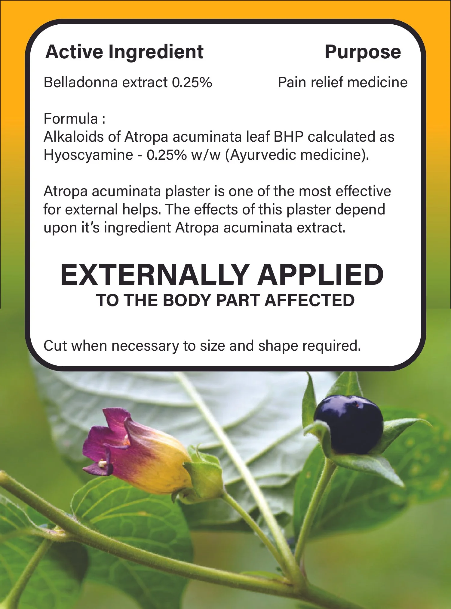 BELLADONNA INFORMATION.jpg (Copy) (Copy)