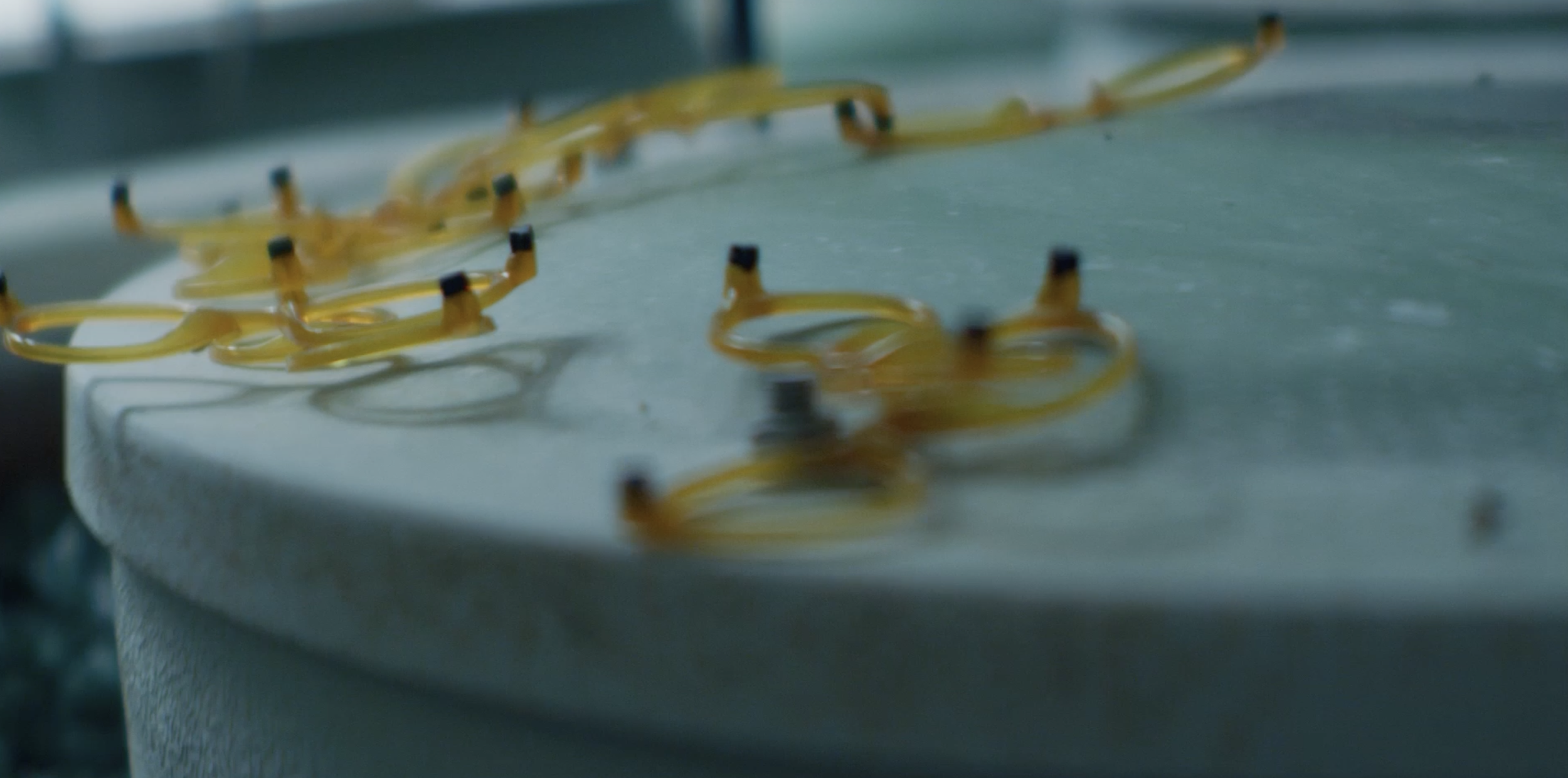 Capture d’écran 2025-11-28 à 12.45.01.png