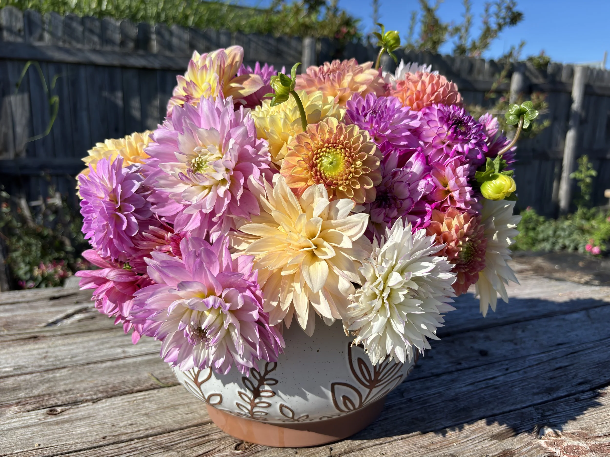A colorful bouquet of Dahlia flowers in a decorative white and brown ceramic vase, placed on a weathered wooden surface outdoors with a wooden fence and blue sky in the background.