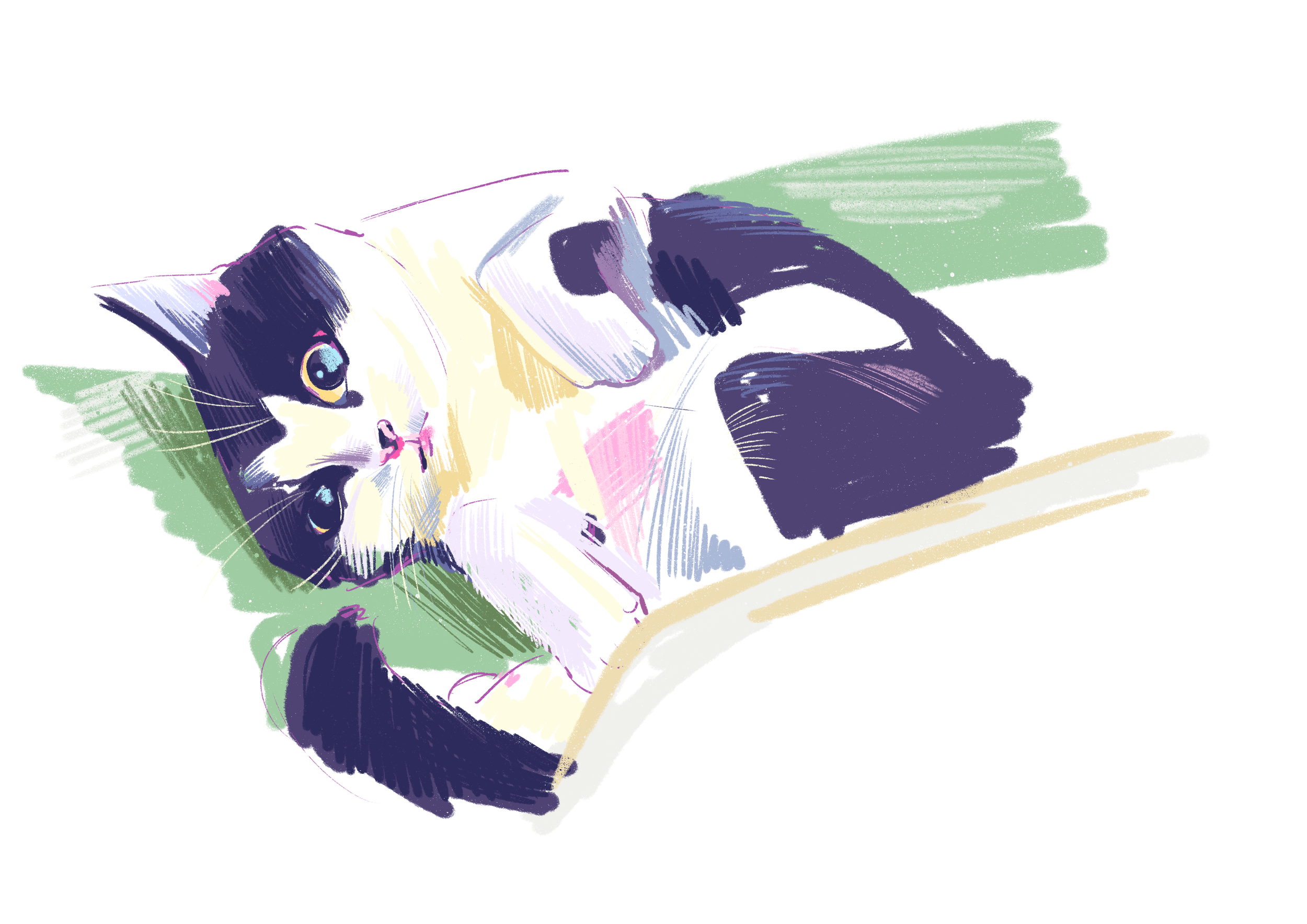 Untitled_Artwork 1.png