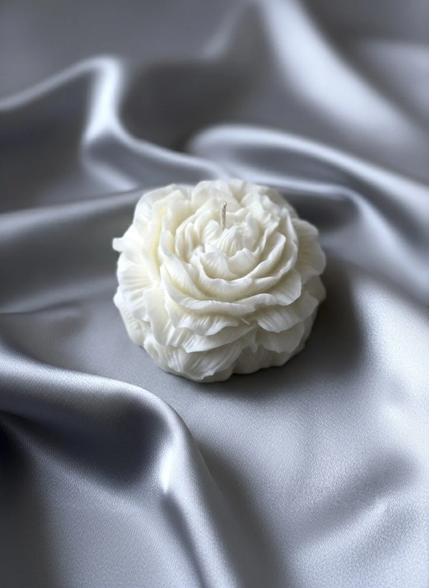 Eclosion blanche 3.jpeg