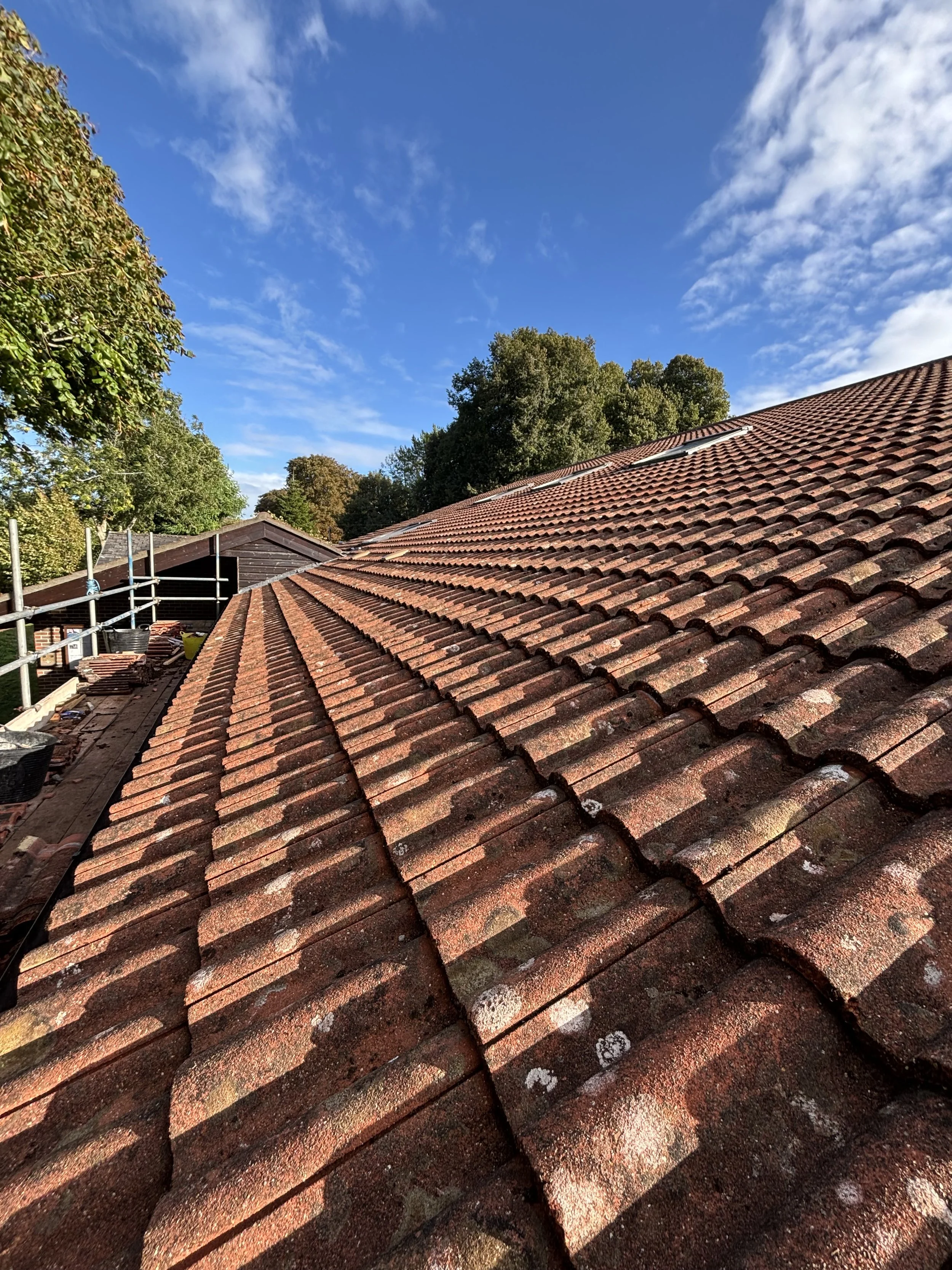 Rooftop with red clay tiles, some moss and lichen, under a blue sky with scattered clouds, surrounded by trees.