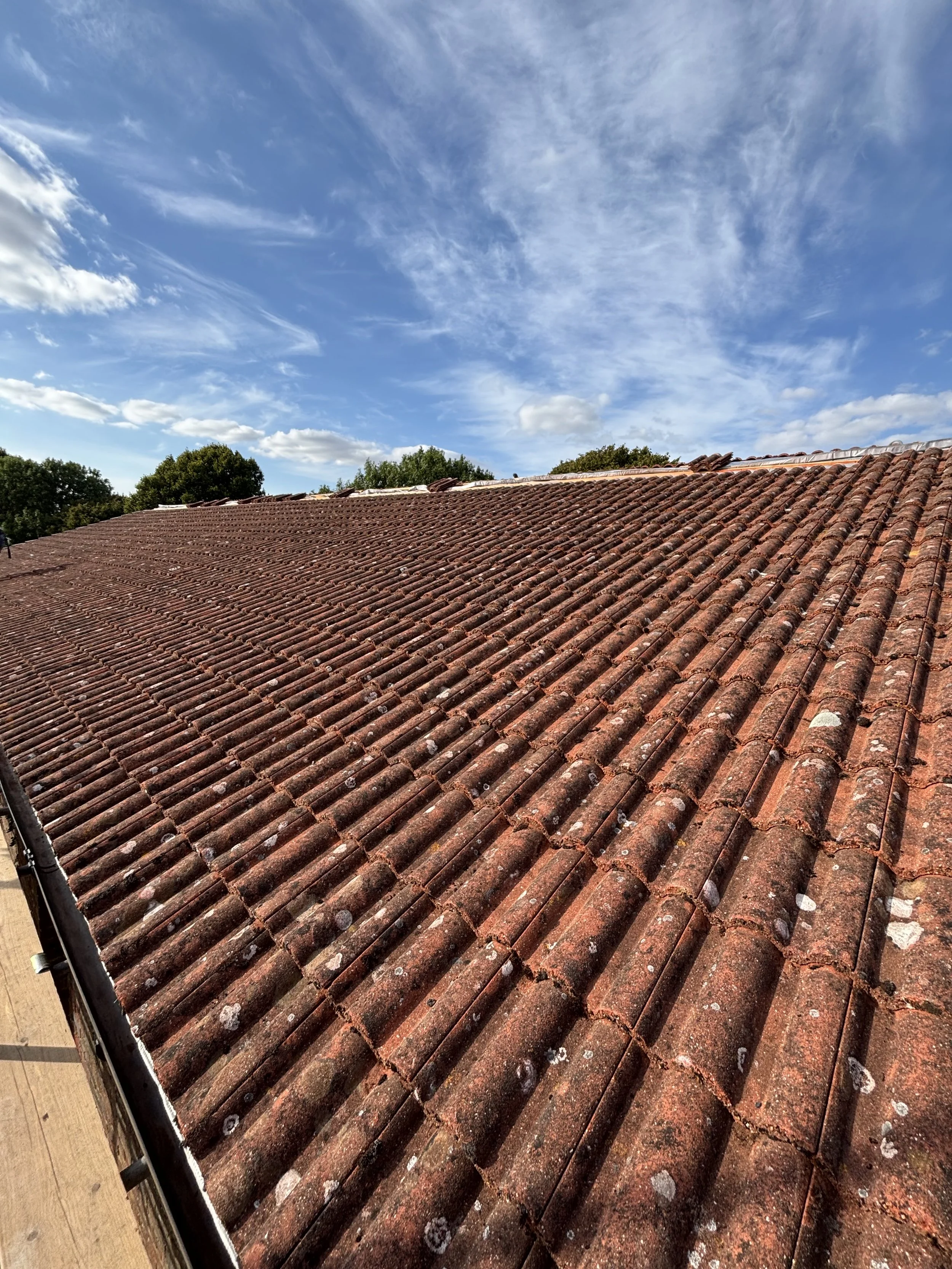 Close-up of a red tiled roof with some moss and lichen, under a blue sky with clouds and green trees in the background.