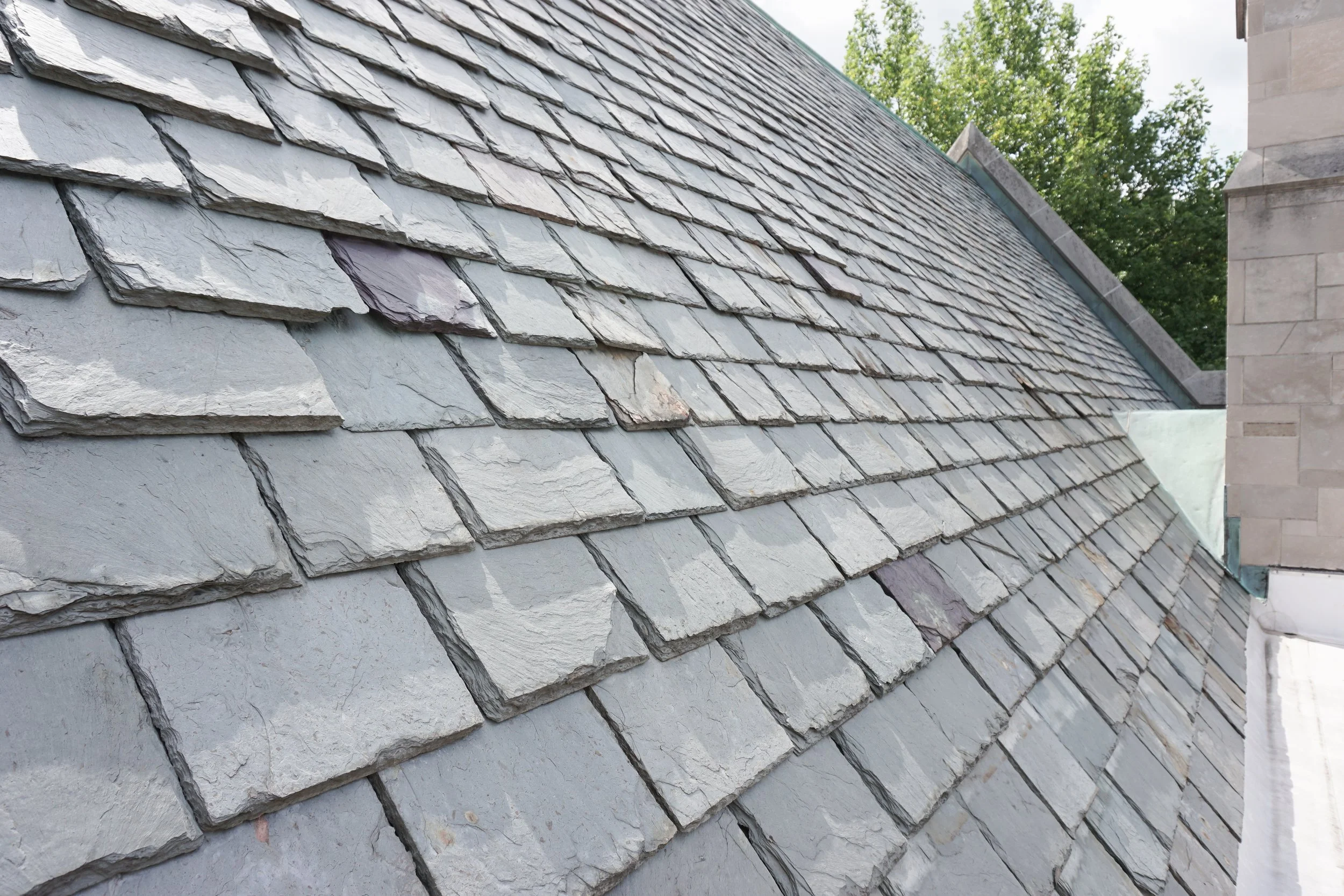 Close-up view of a slate tile roof on a building, with green trees and part of a other building visible in the background.