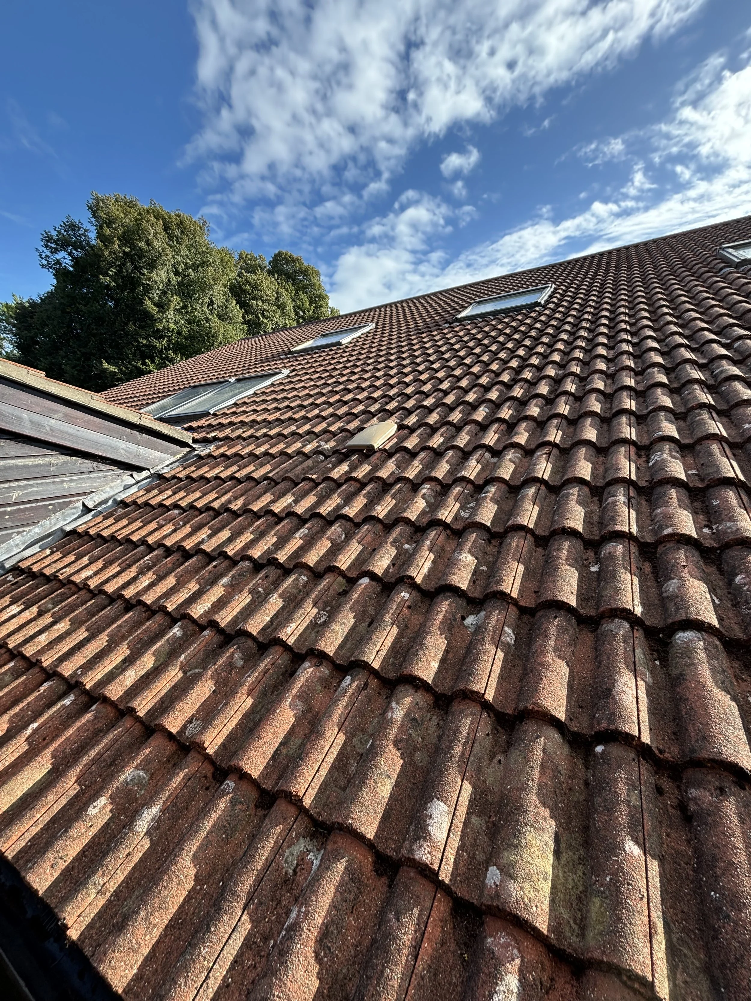 Close-up view of a house roof with red tiles, skylights, and a background of blue sky with clouds and green trees.