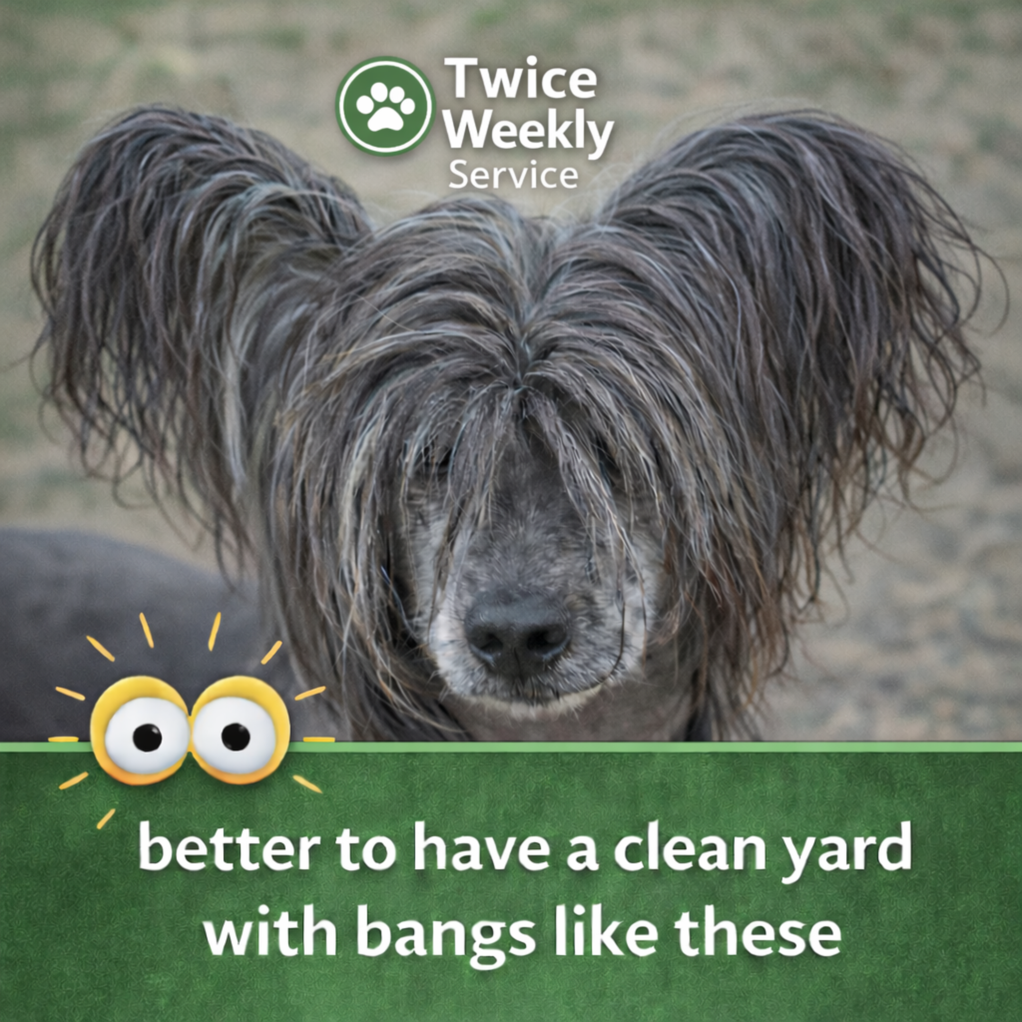 Elite Twice Weekly Waste Removal