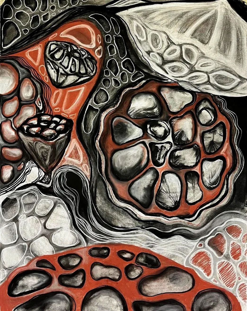 Abstract artwork featuring organic shapes and patterns in black, white, red, and gray tones, resembling rocks or cellular structures.